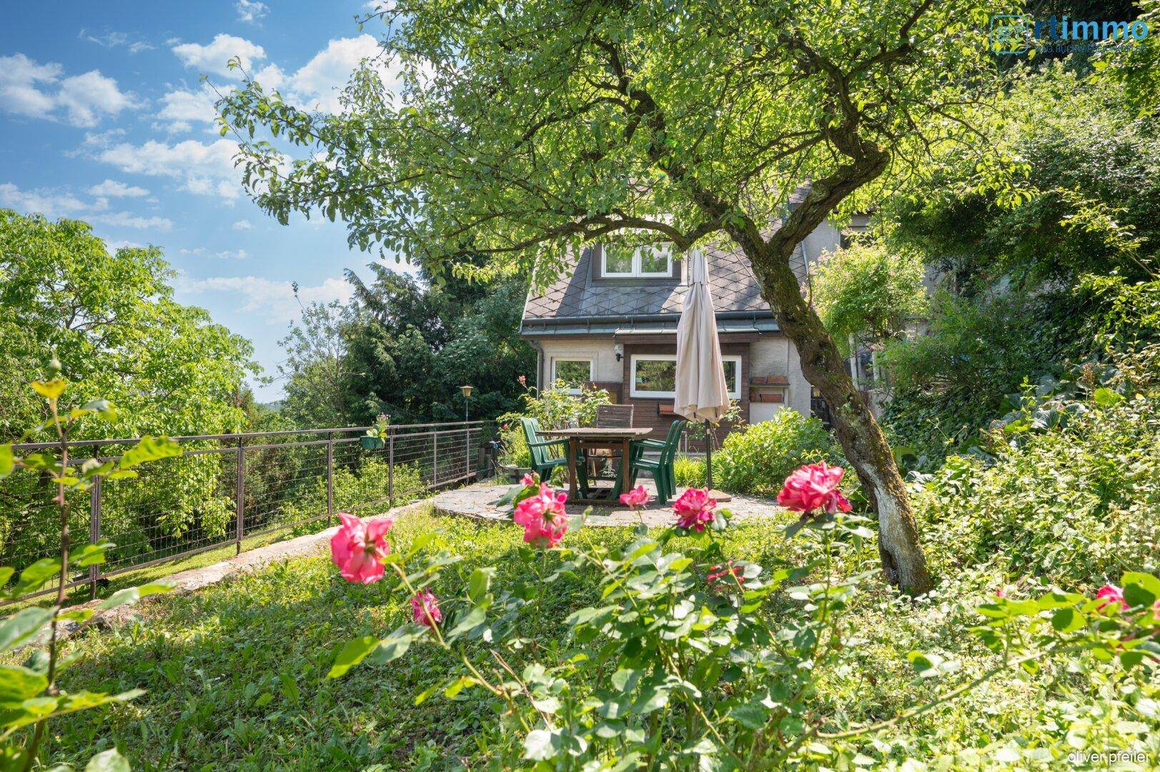 Idyllischer Garten mit Rosen, altem Baum und Essbereich im Freien.