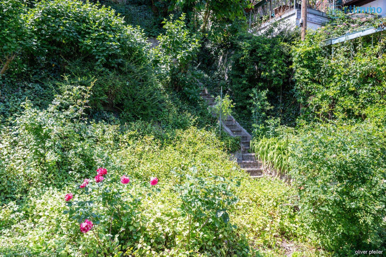 Üppiger, grüner Garten mit Steintreppe, umgeben von dichter Vegetation.