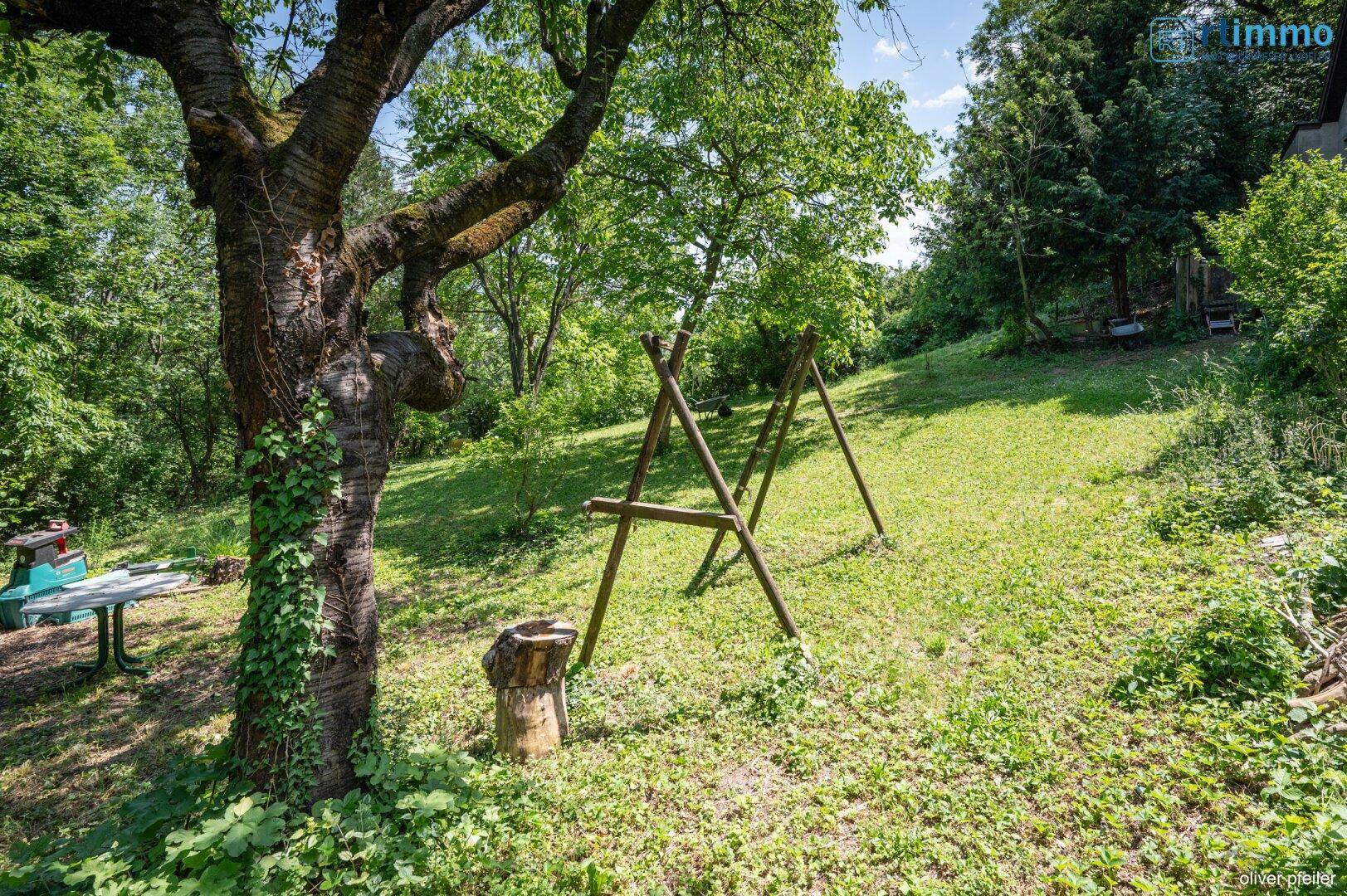 Großer Baum im Garten mit Schaukelgestell und viel Grün.