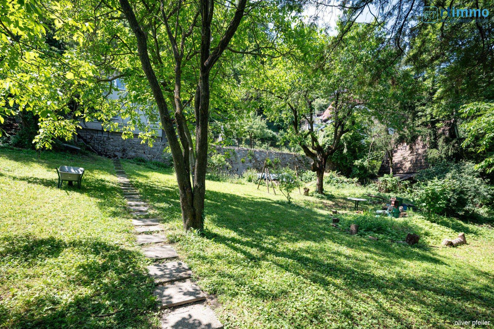 Weitläufiger Garten mit Rasen, Bäumen und einem Steinpfad.