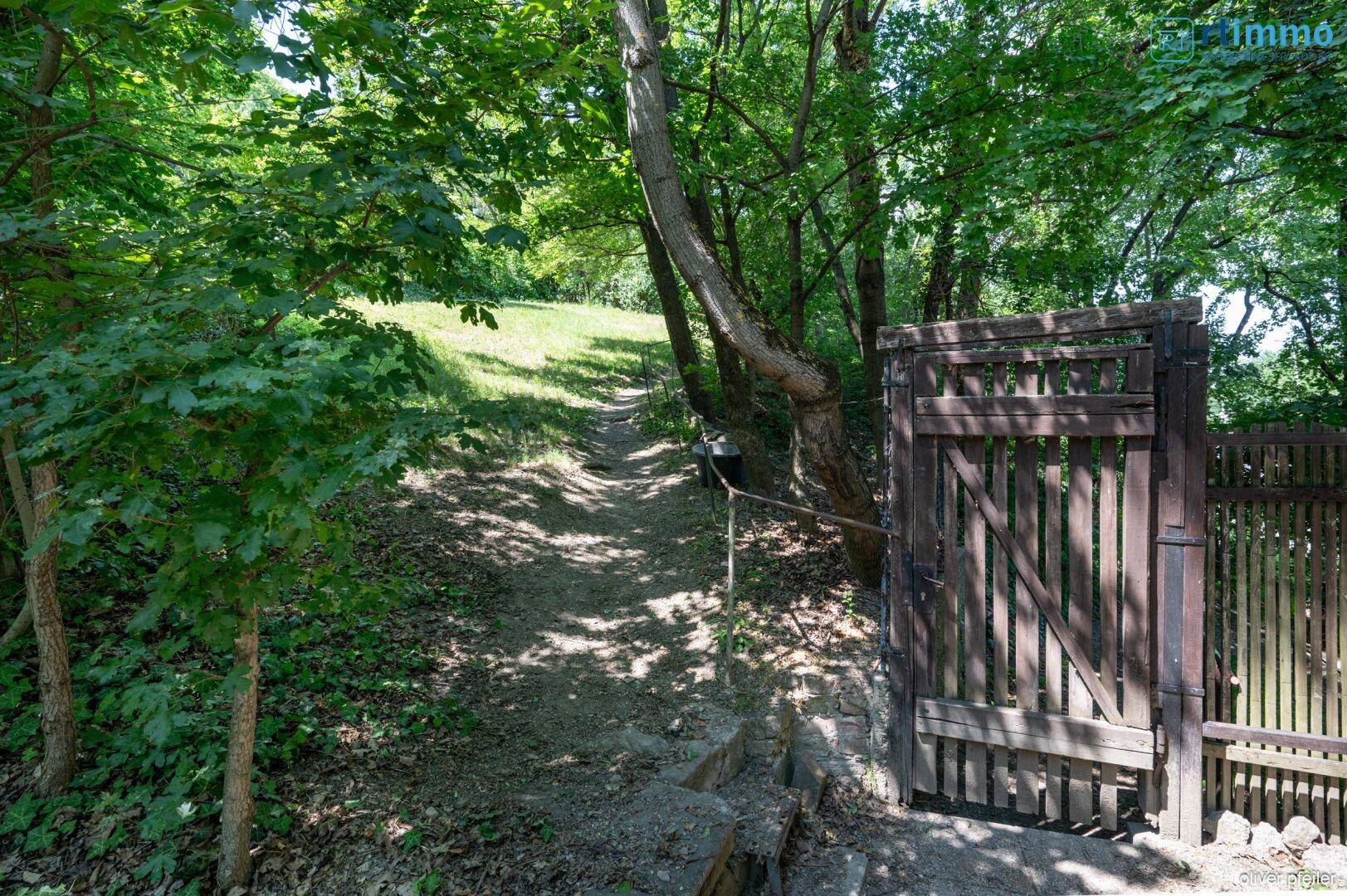Waldweg mit Holztor führt in die grüne Natur, umgeben von Bäumen.