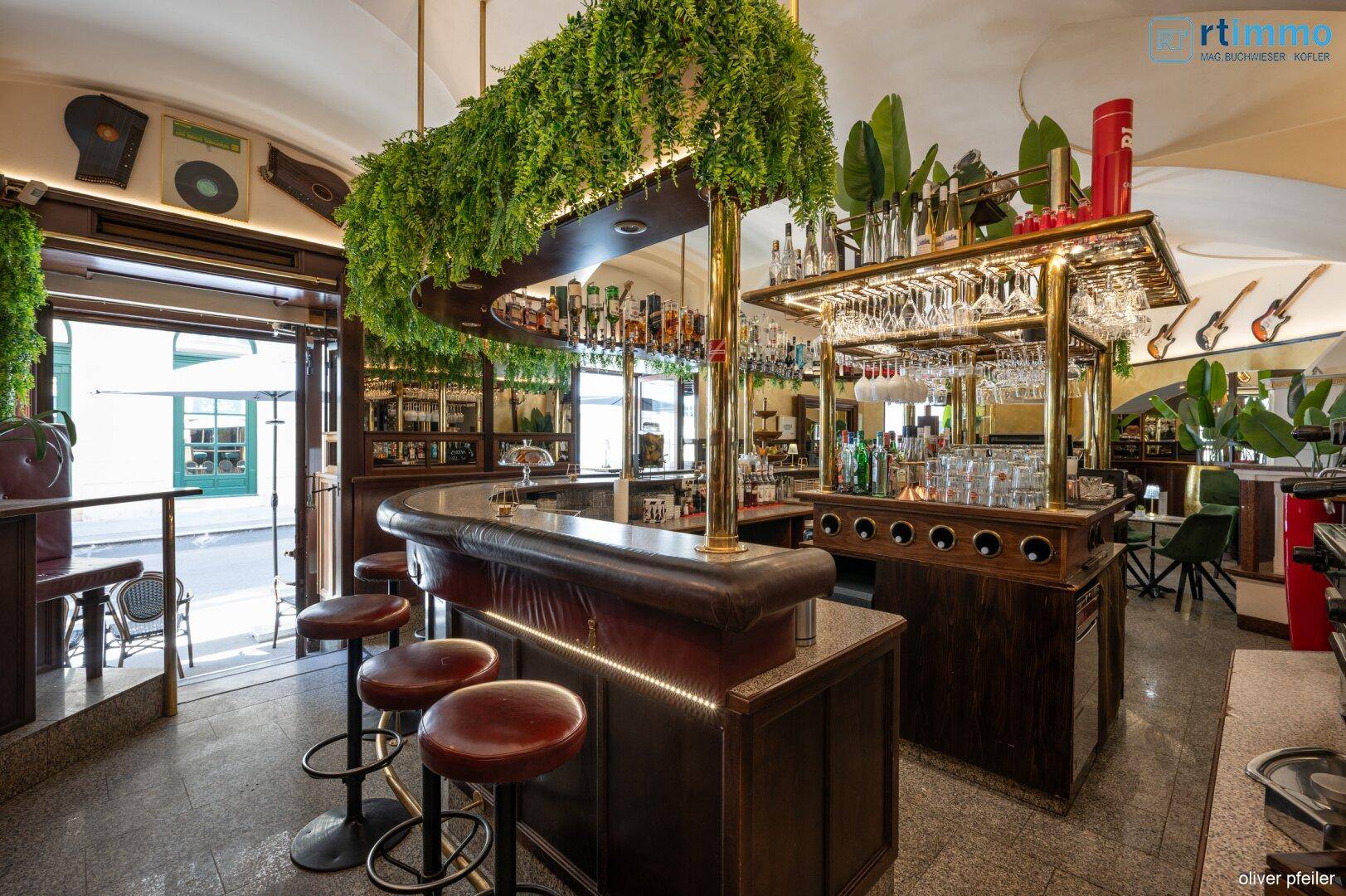 Detailansicht einer eleganten Bar mit dunklem Holz, goldenen Akzenten und hängenden Pflanzen.