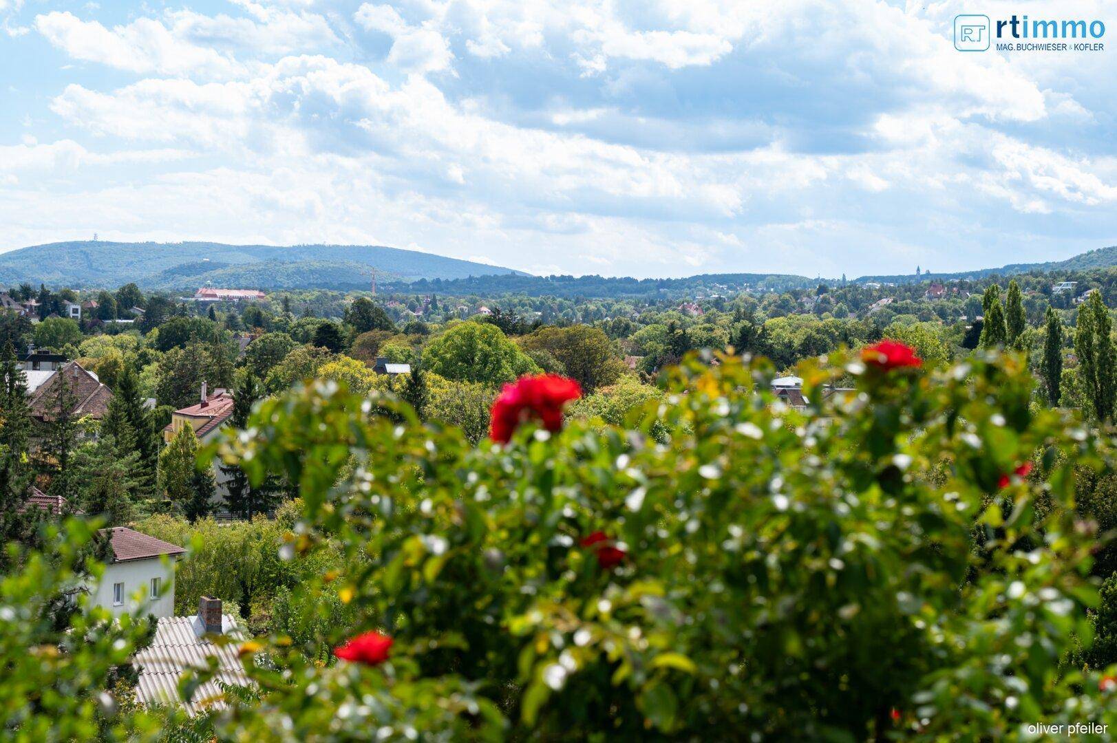 Malerischer Ausblick über eine grüne Landschaft mit Häusern und Bergen im Hintergrund.