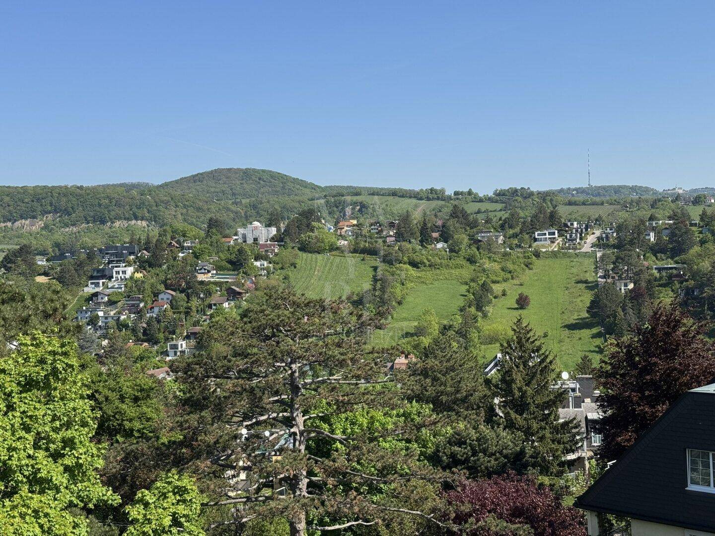 Weitläufiger Blick über eine grüne Hügellandschaft mit verstreuten Häusern und viel Natur.
