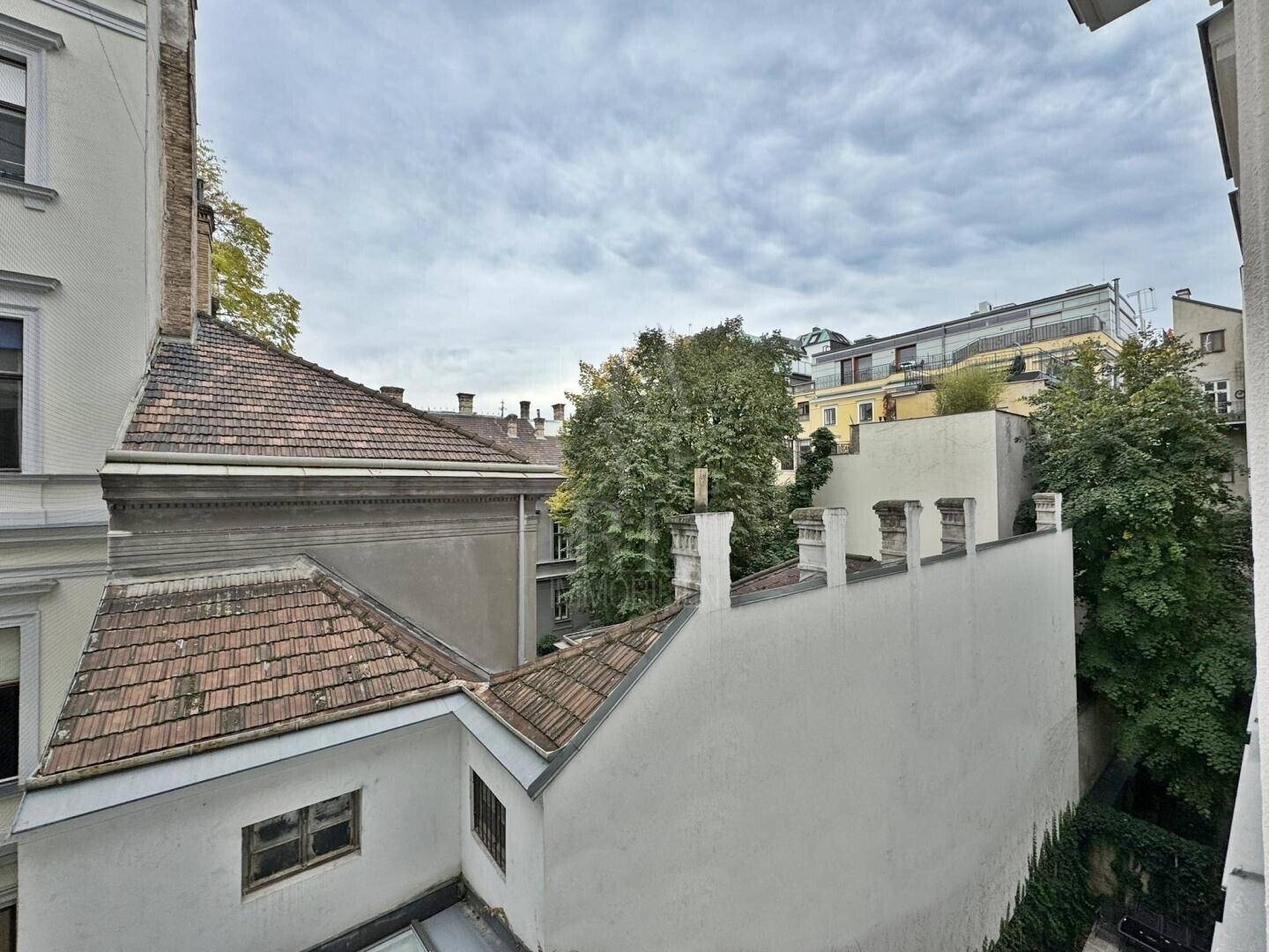 Blick auf die umliegenden Dächer und Gebäude mit viel Grün in der Nachbarschaft.