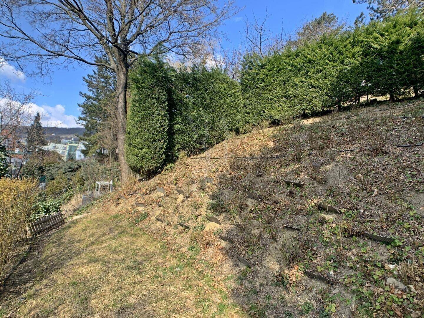 Slide 6