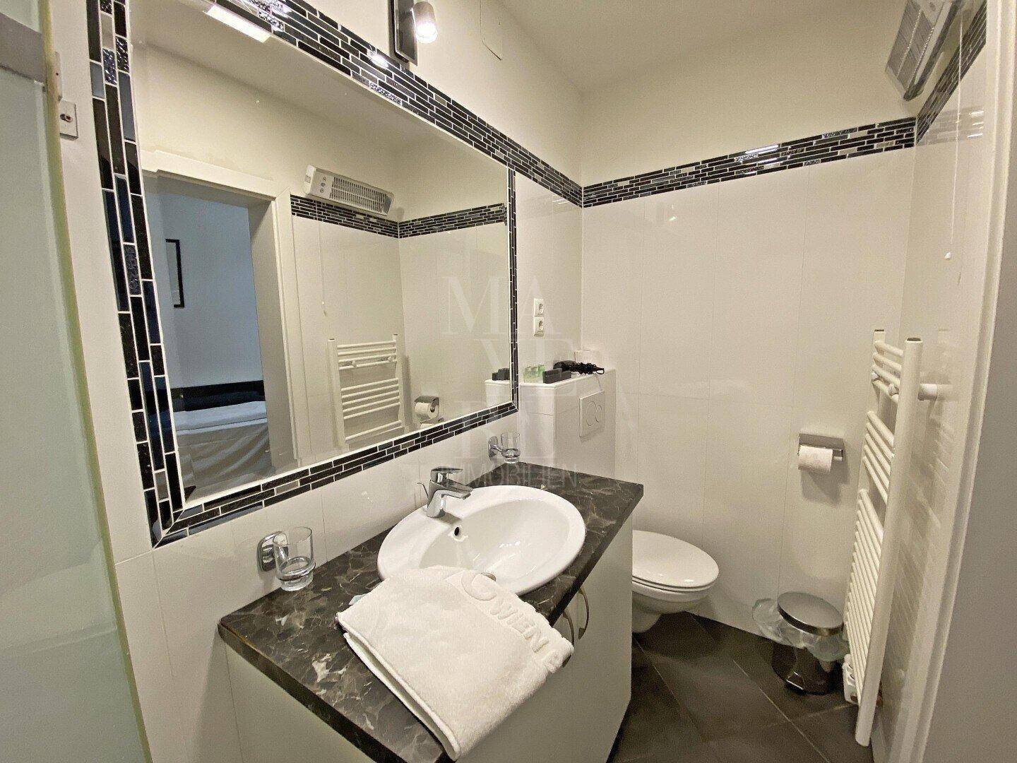 Badezimmer mit WC, Einzelwaschbecken, beheiztem Handtuchhalter und großem Spiegel.