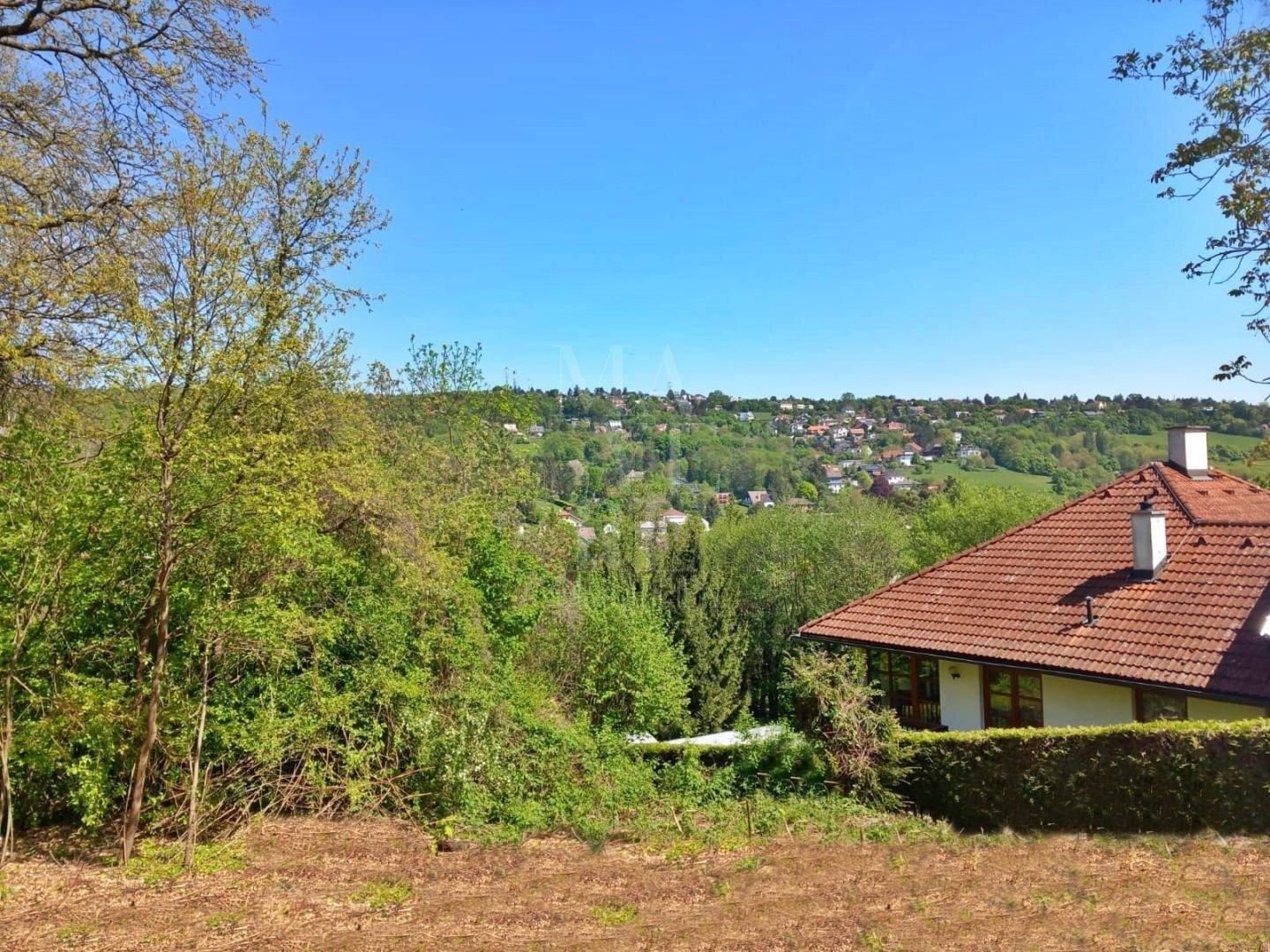 Weitblick