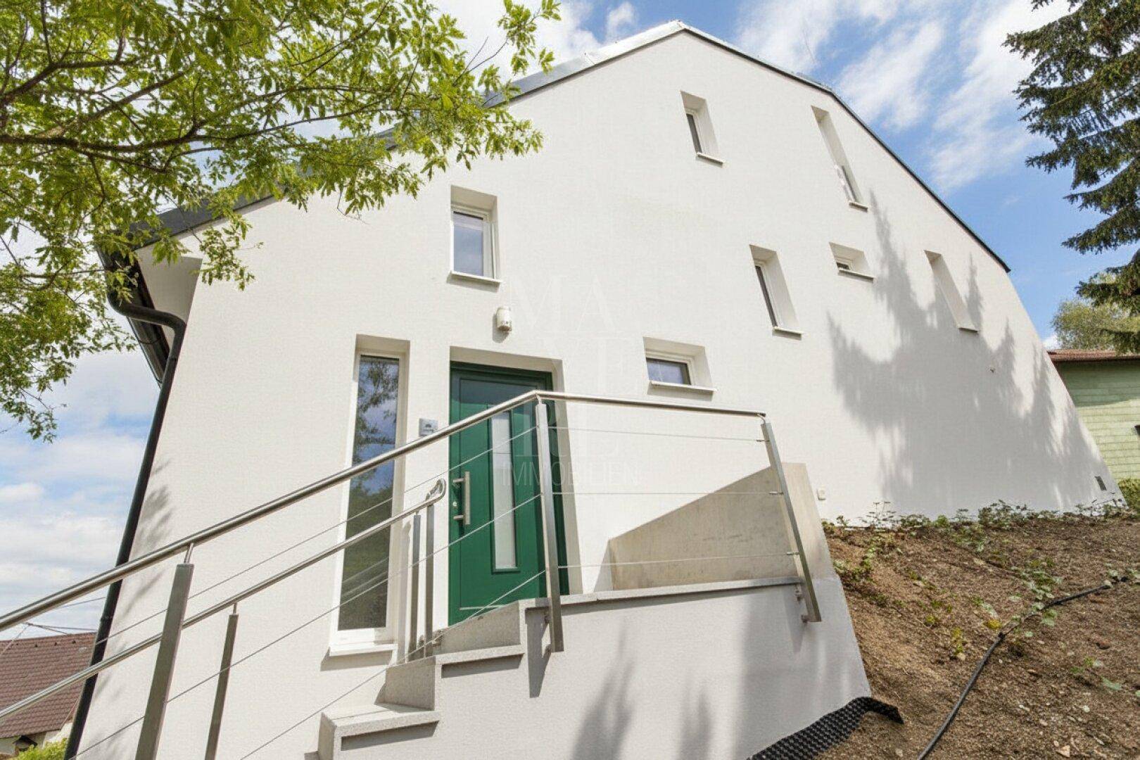 Eingangsbereich eines modernen Hauses mit grüner Tür und Edelstahlgeländer an der Außentreppe.