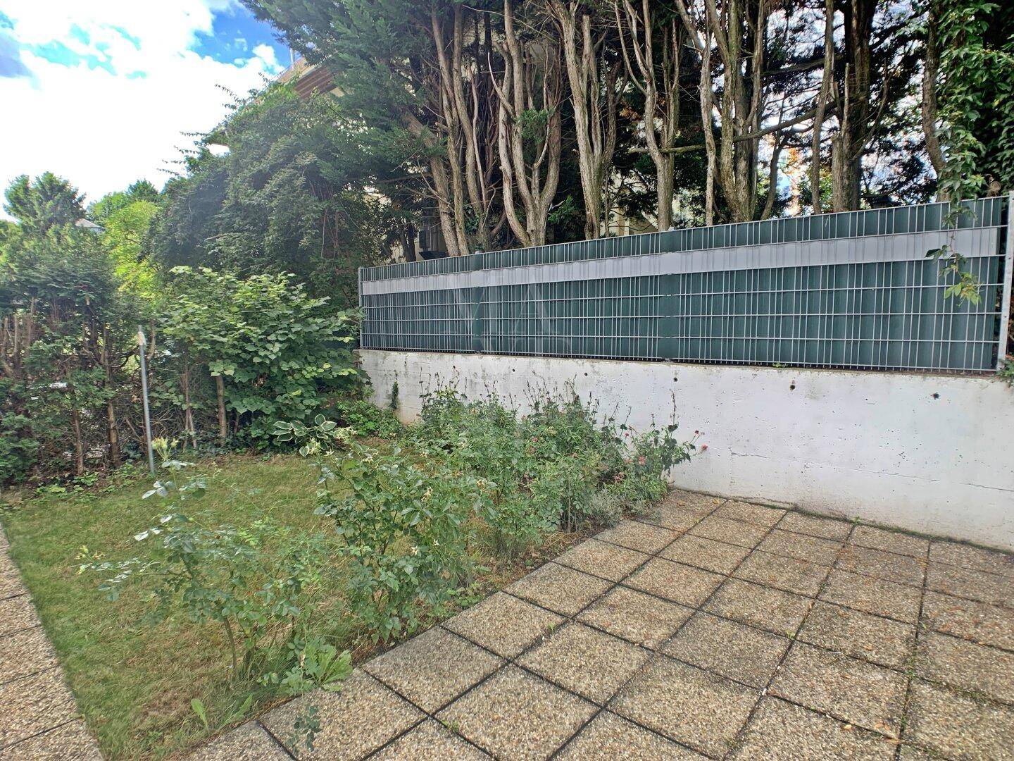 Gepflasterte Terrasse mit angrenzender Rasenfläche und grüner Hecke im Hintergrund.