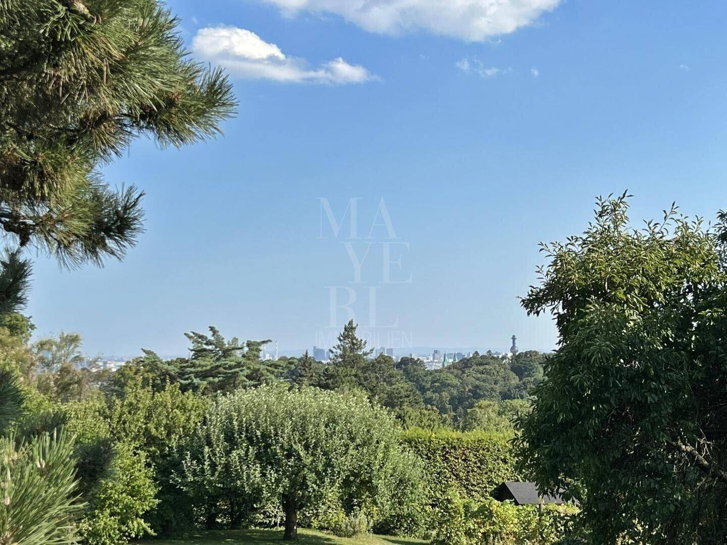 Panoramablick auf die Stadtkulisse durch üppiges Grün und Bäume in der Ferne.