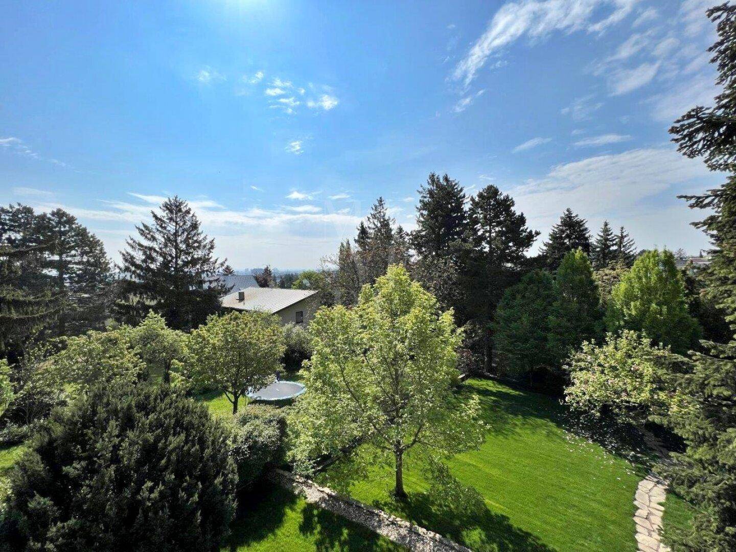 Panoramablick über den weitläufigen Garten mit üppigem Baumbestand und einem Trampolin im Hintergrund.
