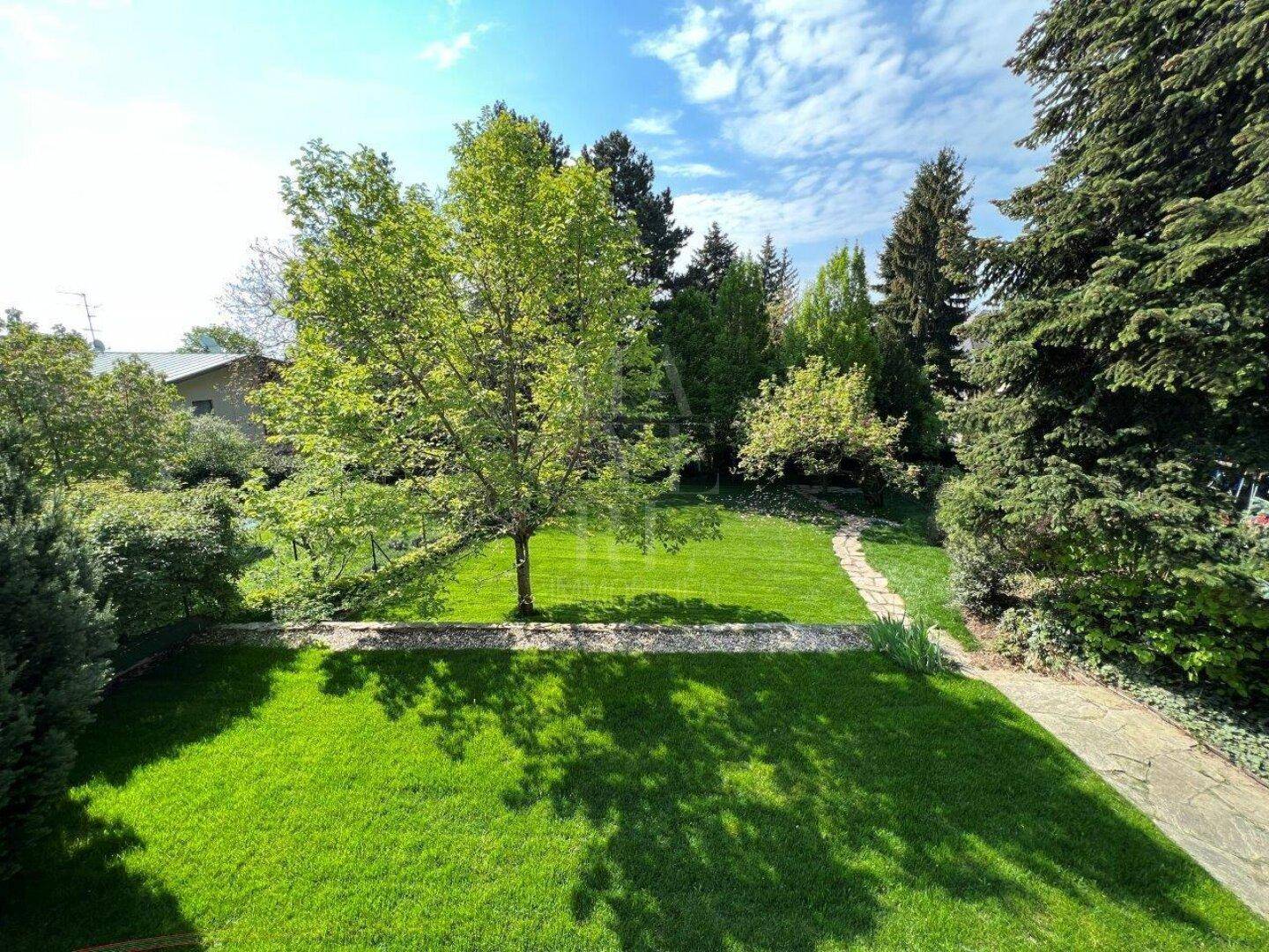Weitläufiger, sonniger Garten mit gepflegtem Rasen, hohen Bäumen und einem Steinweg.