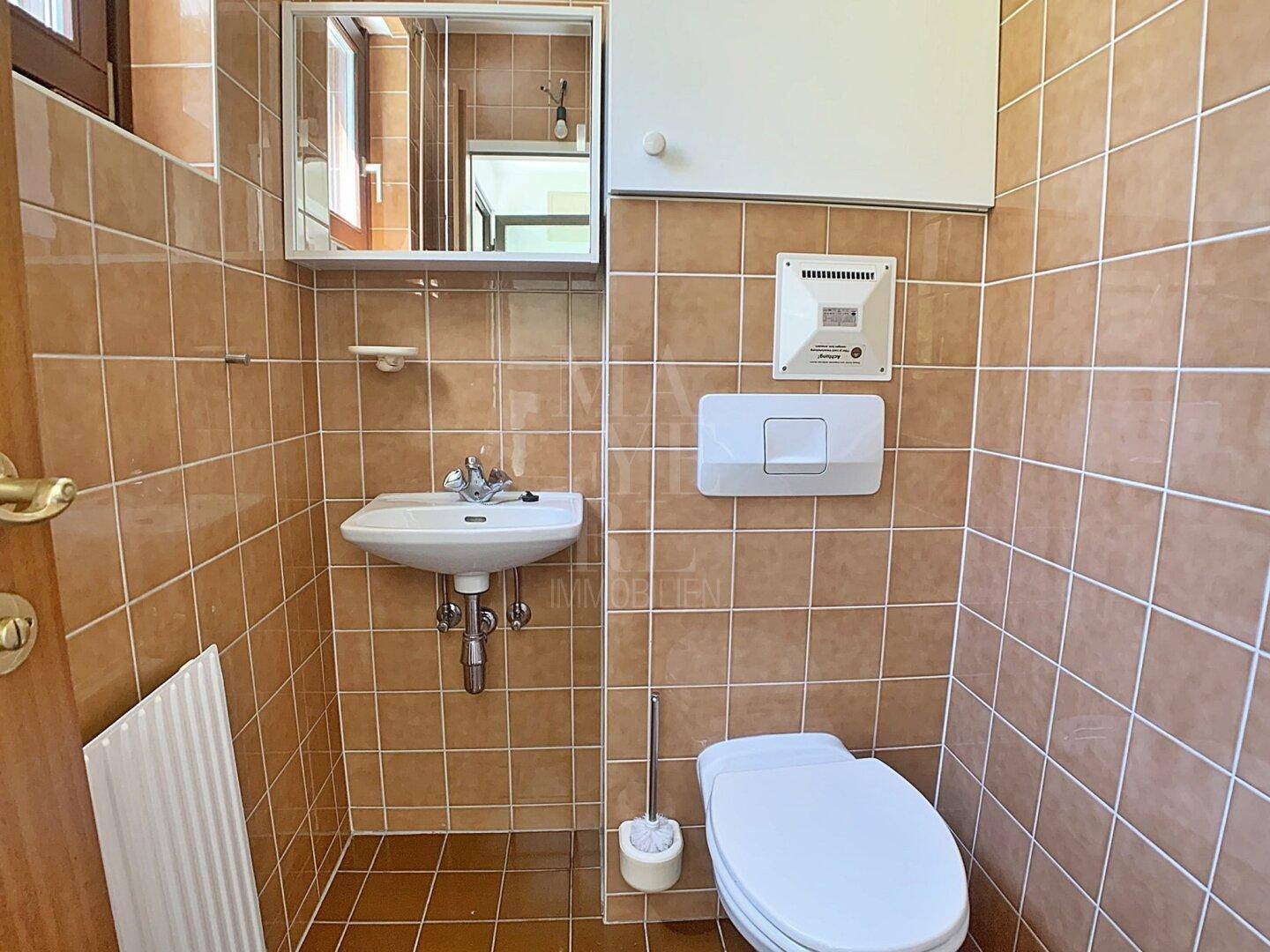 Separate Toilette mit Waschbecken und braunen Fliesen, einfach und funktional ausgestattet.