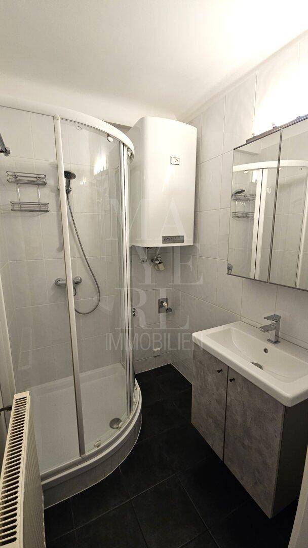 Modernes Badezimmer mit Eckdusche, Einzelwaschbecken, Spiegelschrank und dunklen Fliesen.