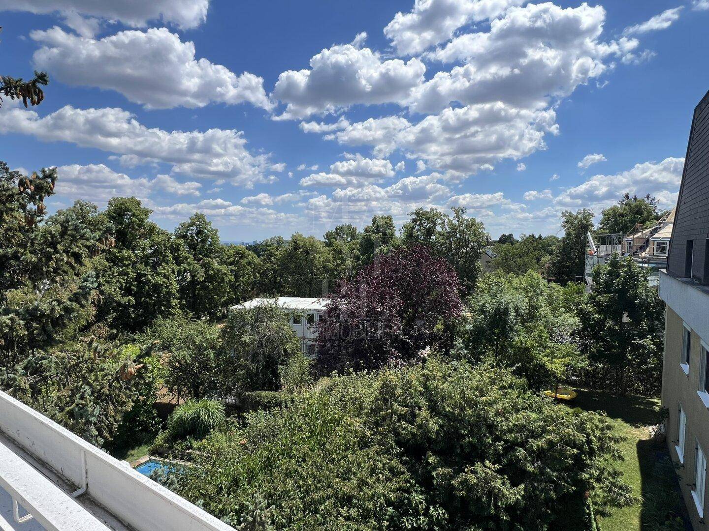 Weitläufiger Blick über grüne Baumwipfel und die umliegende Wohnbebauung unter blauem Himmel.