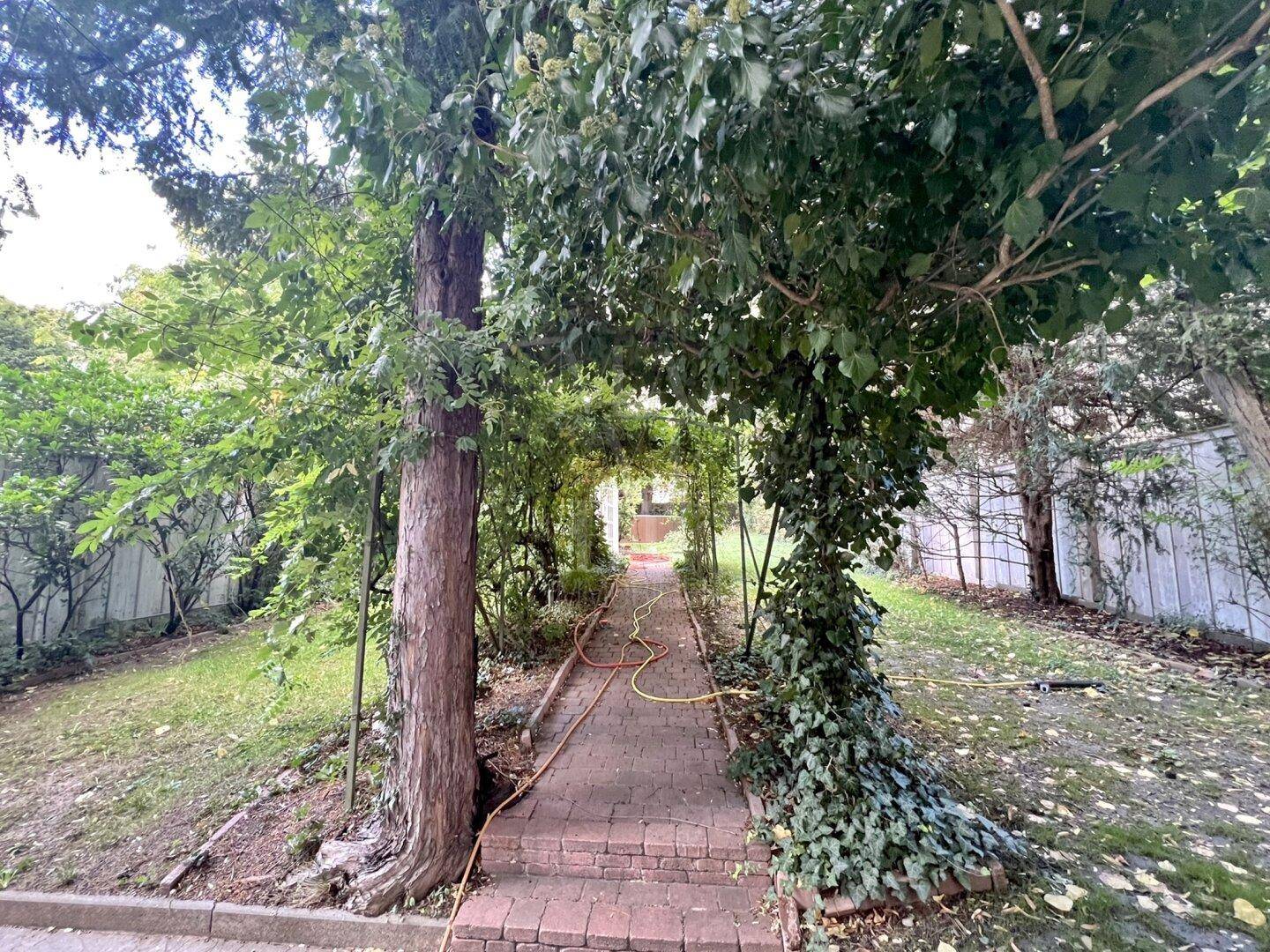 Malerischer Gartenweg unter einem grünen Blätterdach, der durch die üppige Vegetation führt.