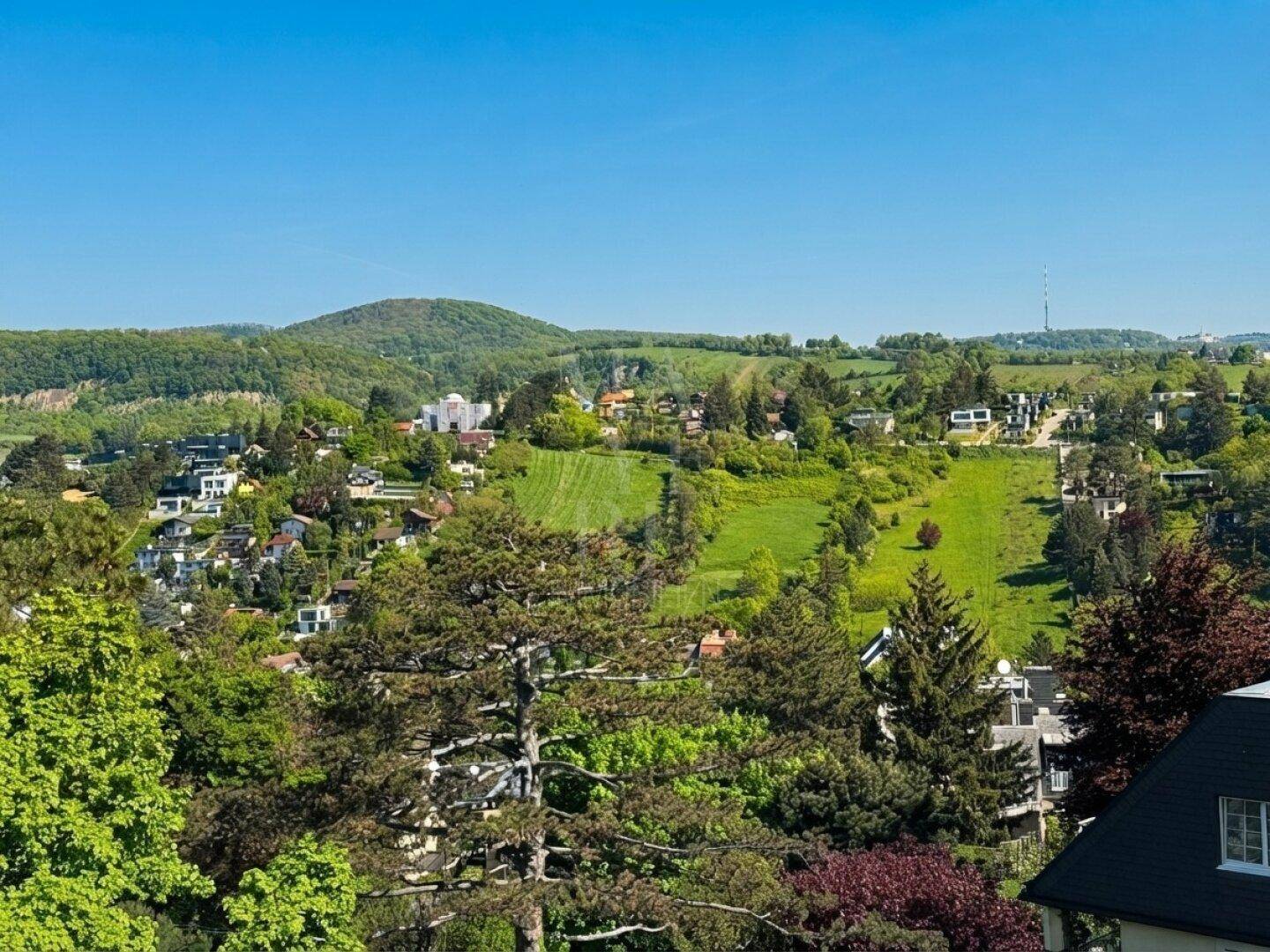 Malerischer Ausblick auf die hügelige Landschaft mit viel Grün und vereinzelten Häusern.