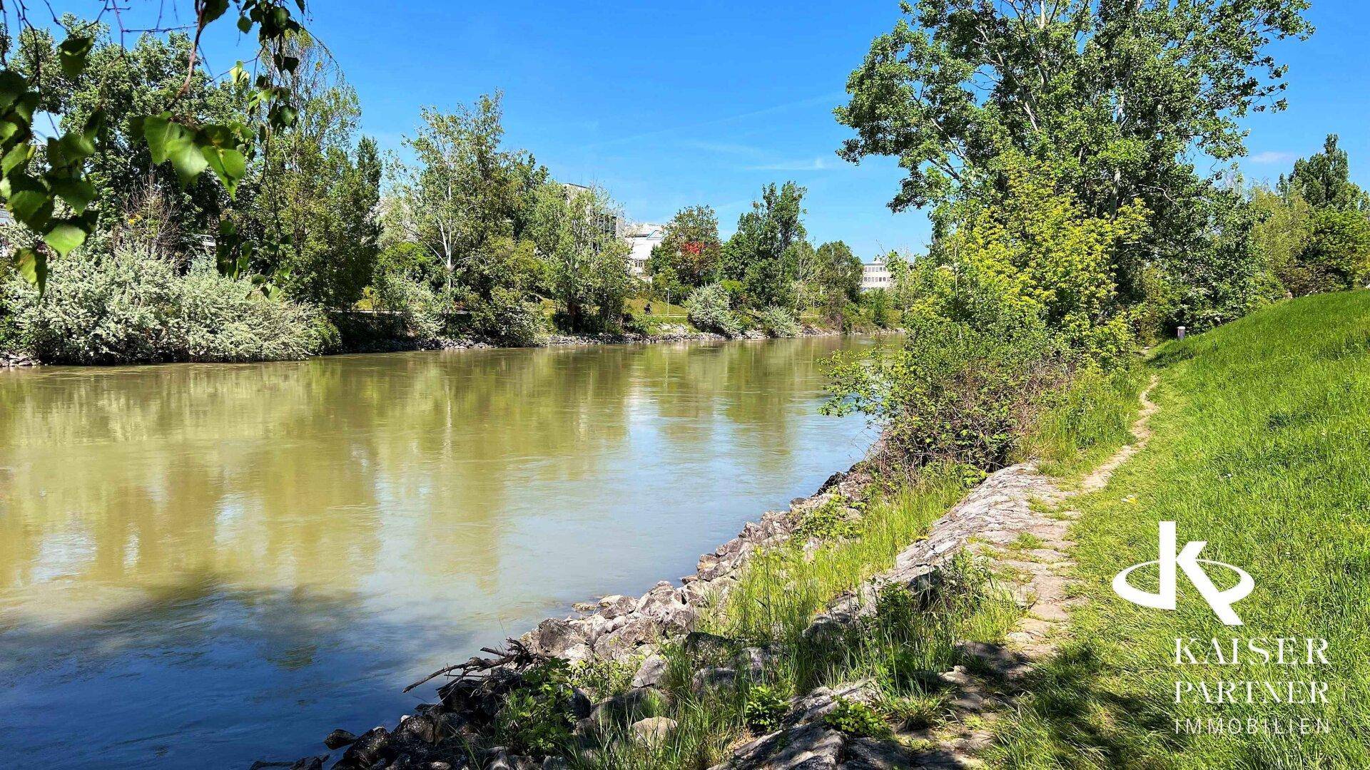 Idyllische Flusslandschaft mit grünen Ufern und Bäumen unter strahlend blauem Himmel.
