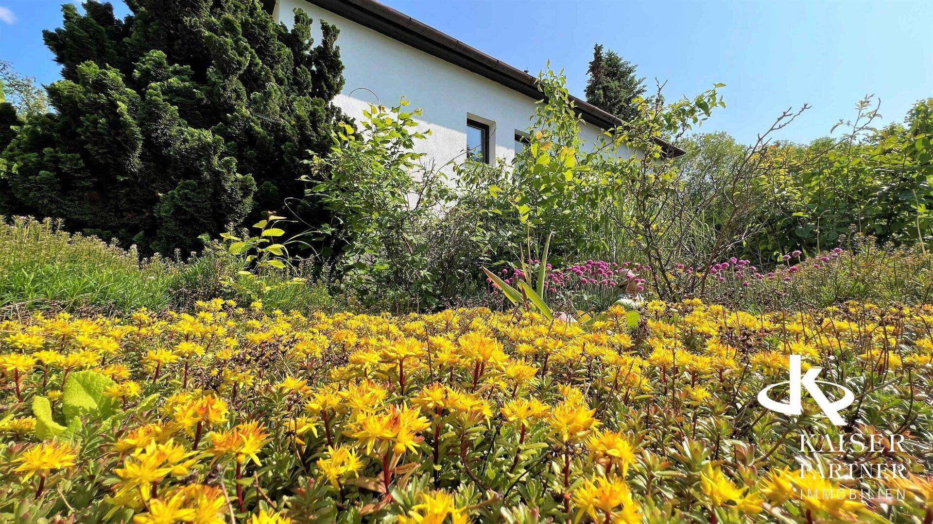 Garten/vorderer Teil