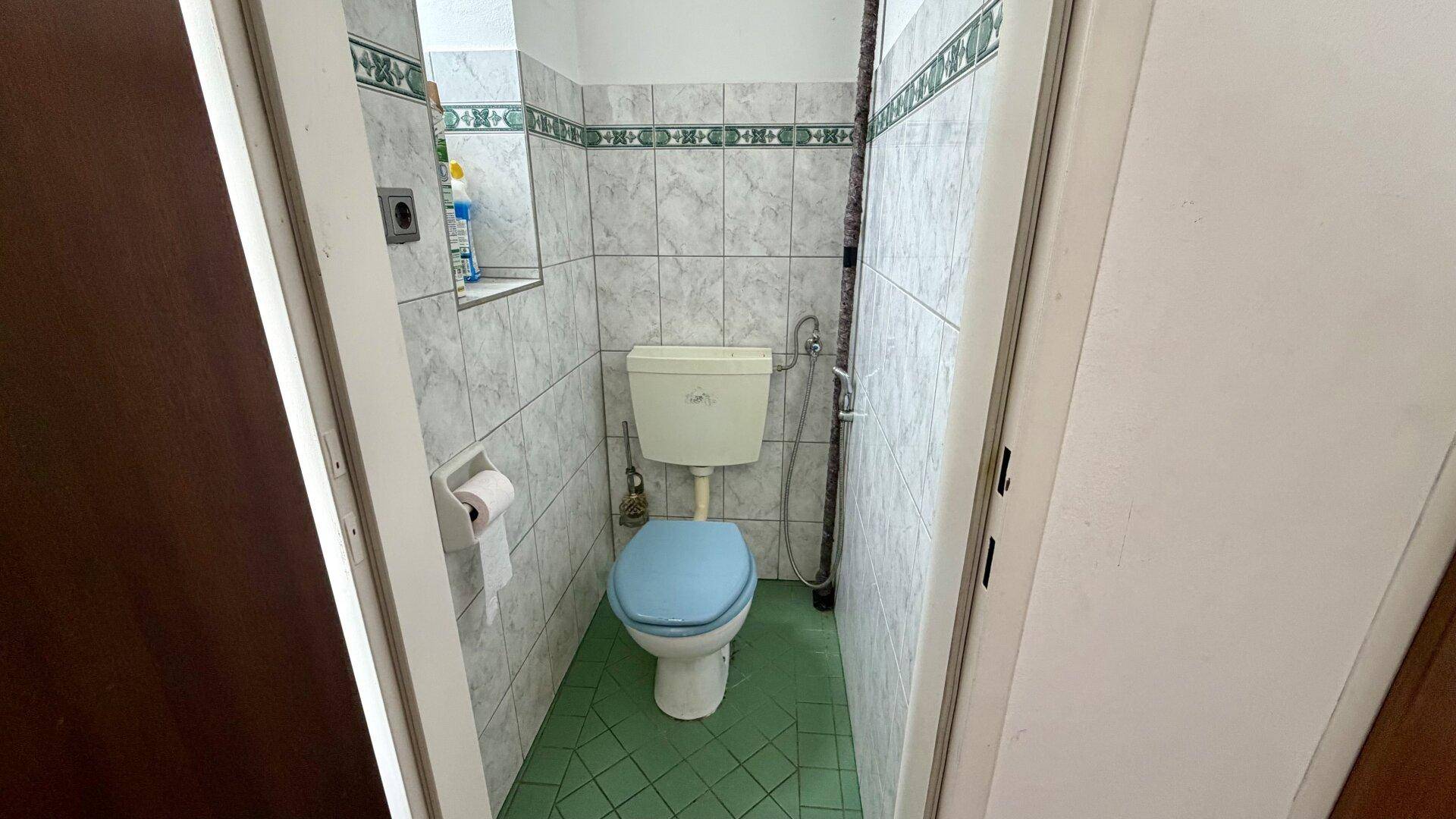 Kleines WC mit alter Toilette, grünen Bodenfliesen und weiß-grünen Wandfliesen.