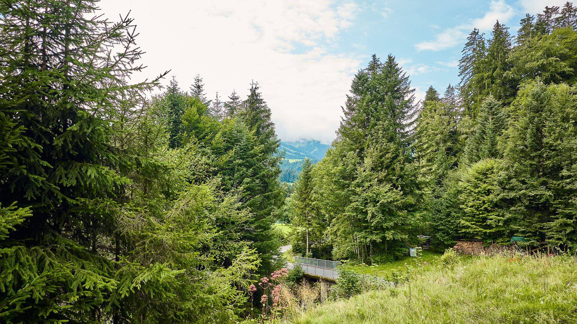 KITZIMMO-Luxusvilla mit Freizeitwohnsitz in Toplage kaufen - Immobilien Fieberbrunn. -12