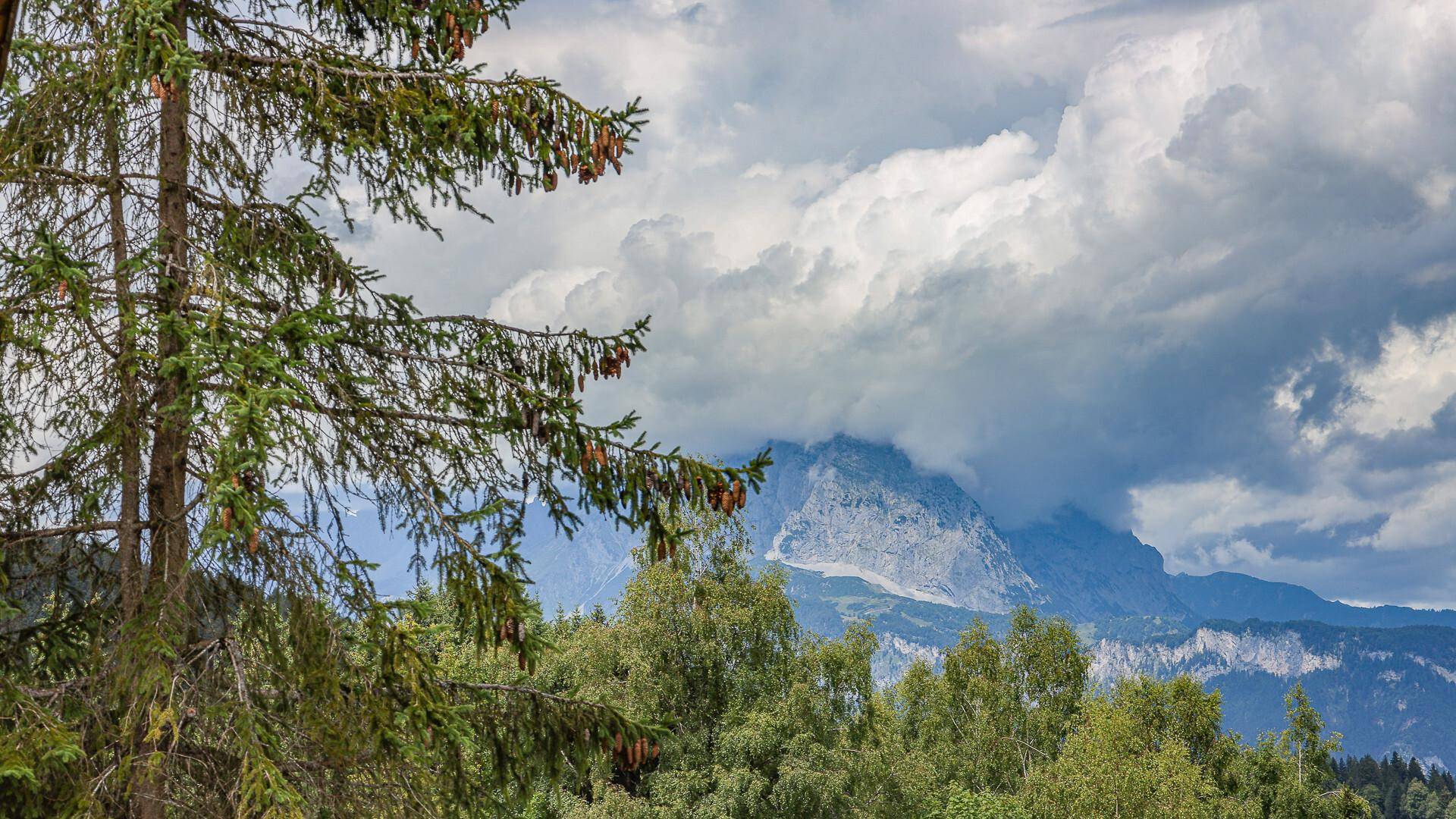 Malerischer Blick auf die Berge durch die Baumwipfel mit bewölktem Himmel.