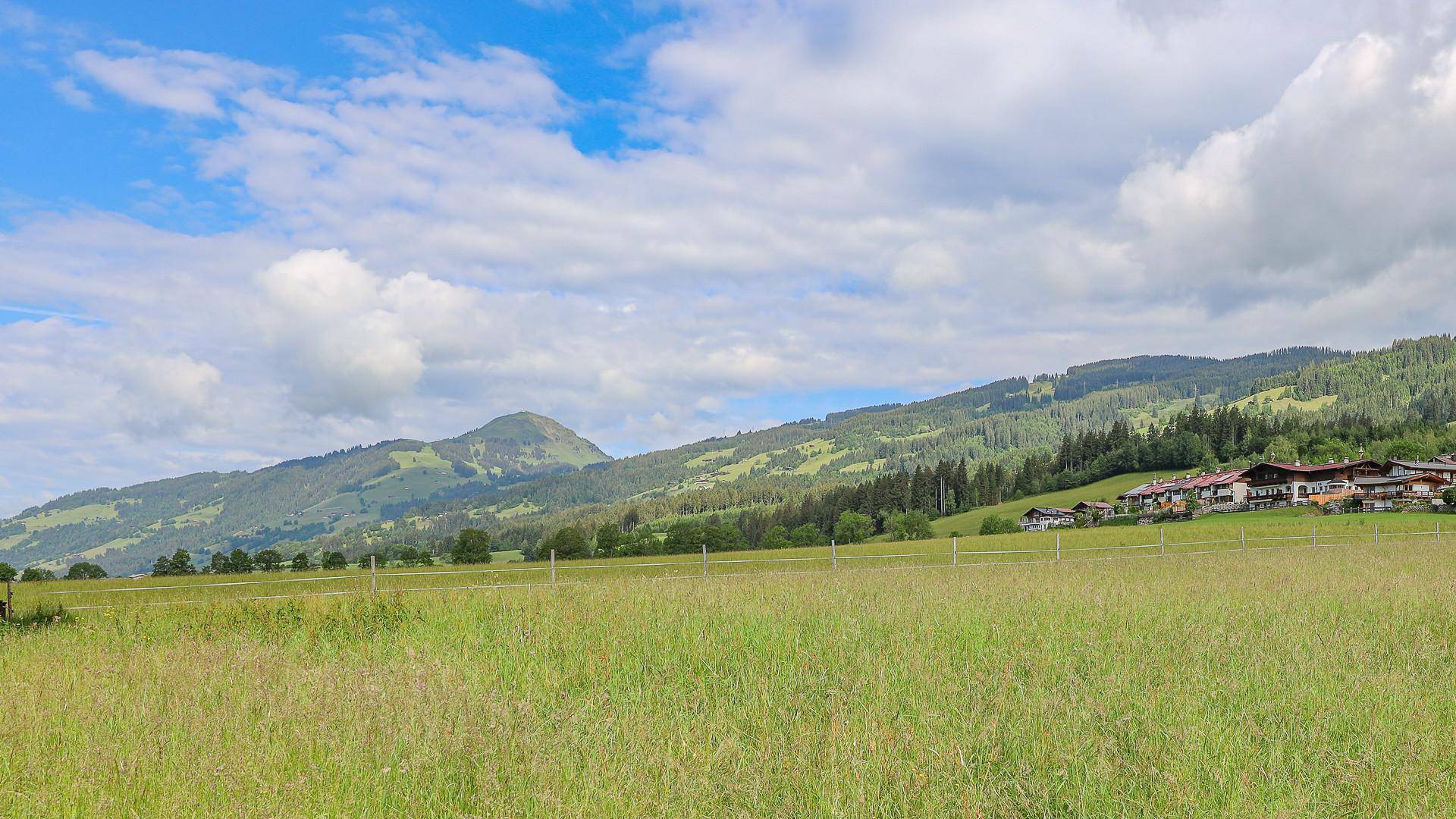 KITZIMMO-exklusive Gartenwohnung in sonniger Ruhelage - Immobilien Kirchberg.