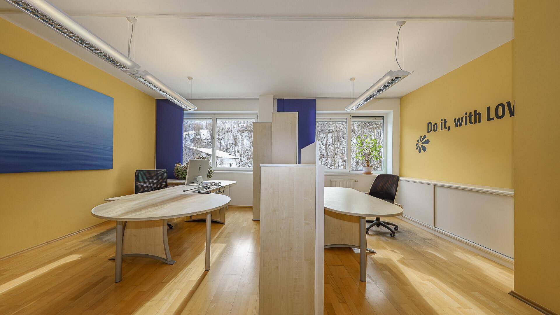 Helles Büro mit Holzboden, gelben und blauen Wänden sowie zwei Arbeitsbereichen mit Blick ins Grüne.