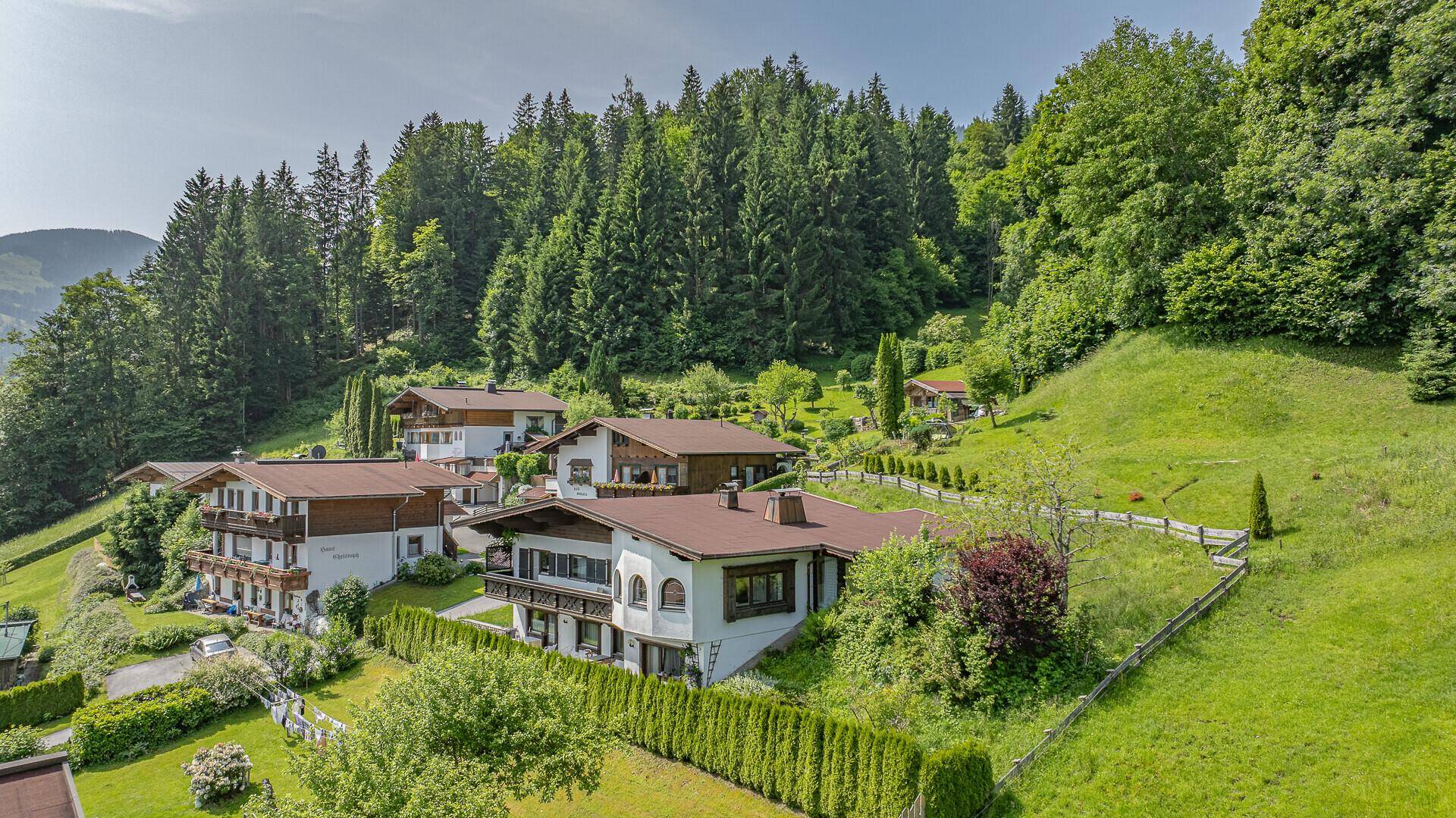 Traditionelle Häuser in einer grünen Berglandschaft mit dichtem Wald im Hintergrund.