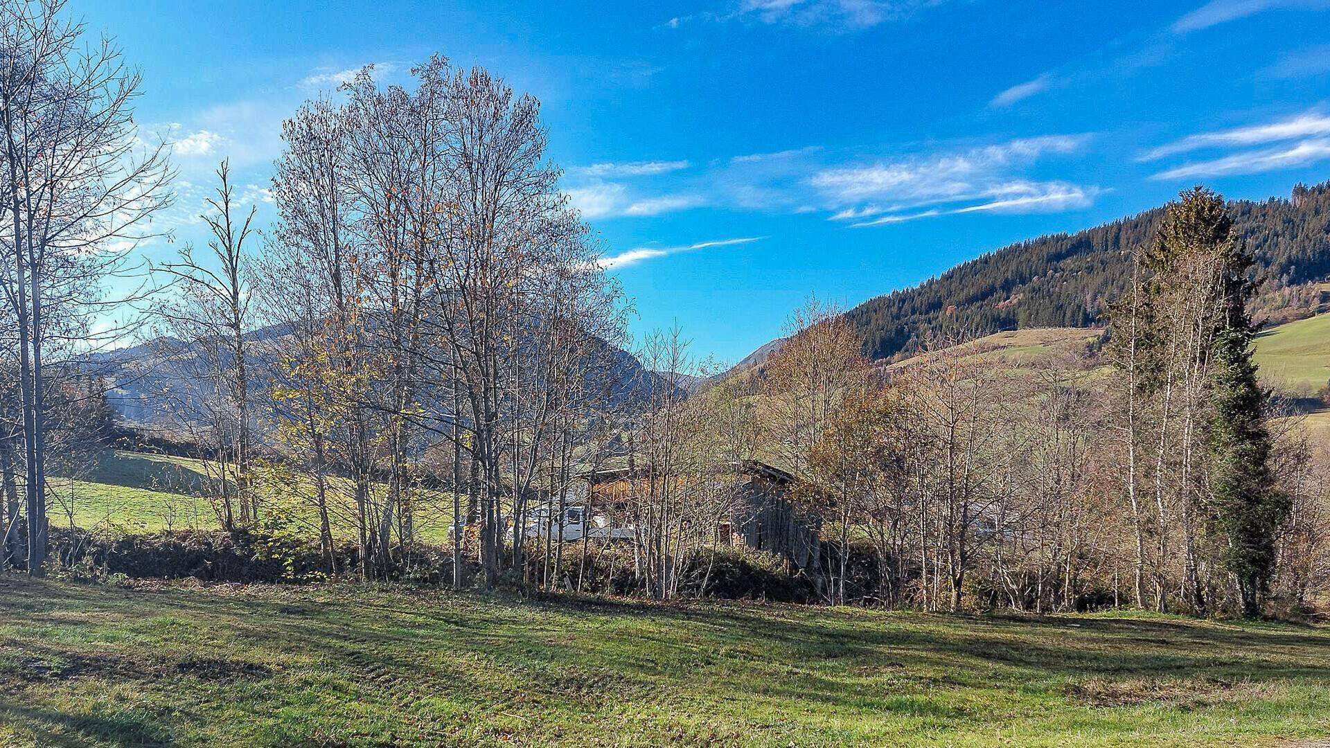 Blick auf eine ländliche Landschaft mit Bäumen, vereinzelten Häusern und Bergen in der Ferne.