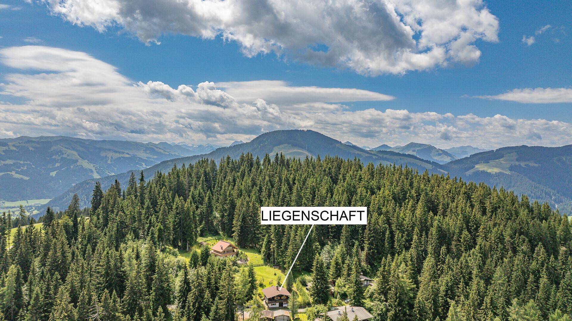 Panoramablick aus der Vogelperspektive auf die Liegenschaft inmitten einer weitläufigen Waldlandschaft.