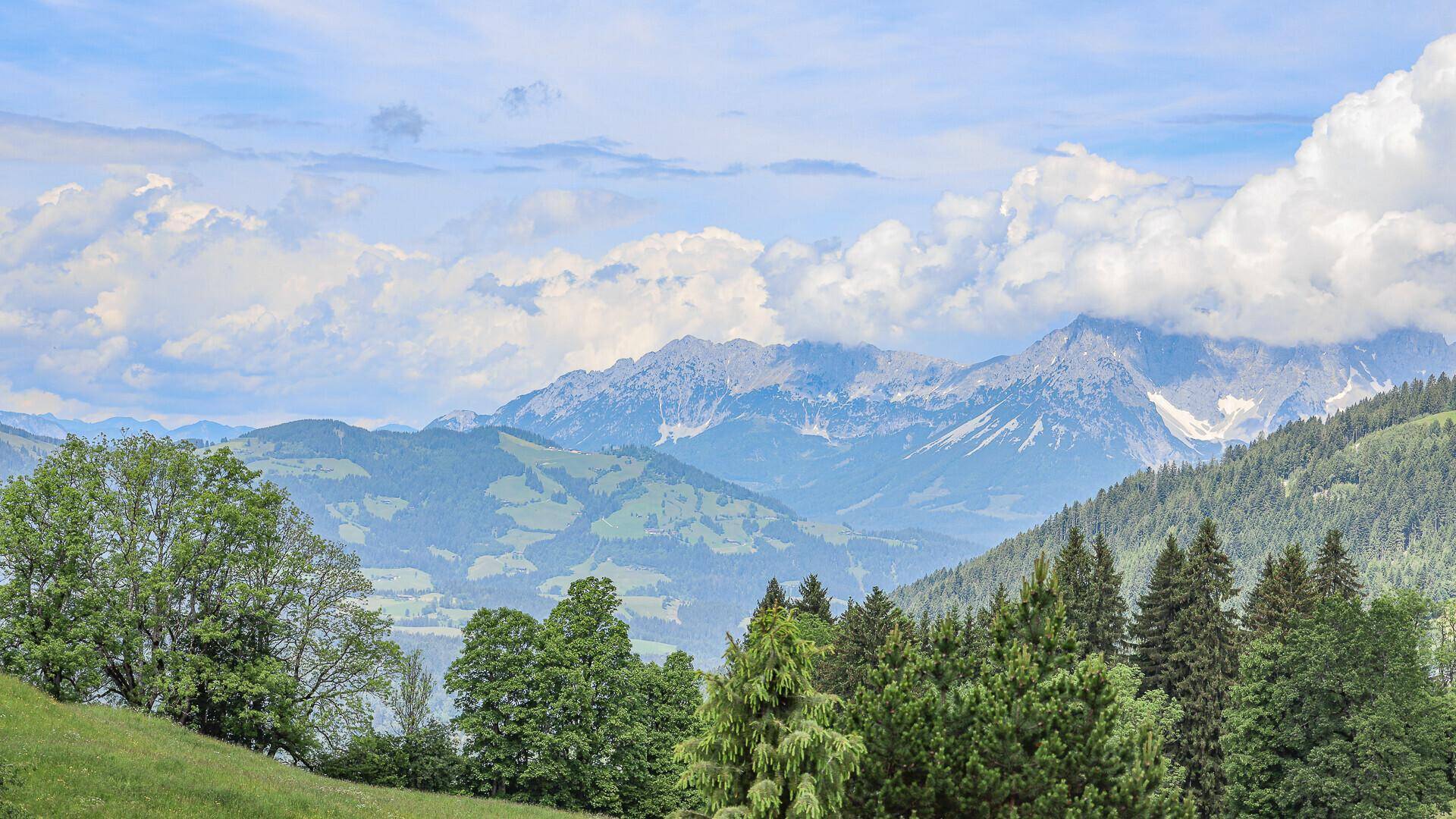 Panoramablick auf die beeindruckende Bergkette mit grünen Tälern und Wäldern.