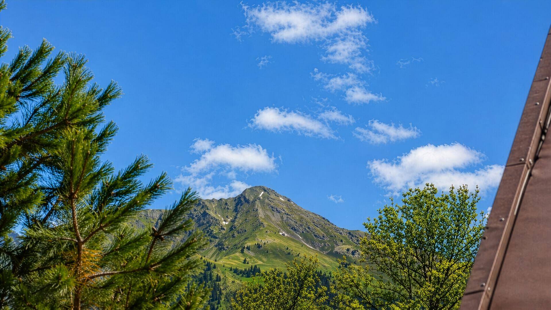 Weitläufiger Blick auf die Bergwelt mit grünen Hängen und bewaldeten Gebieten.