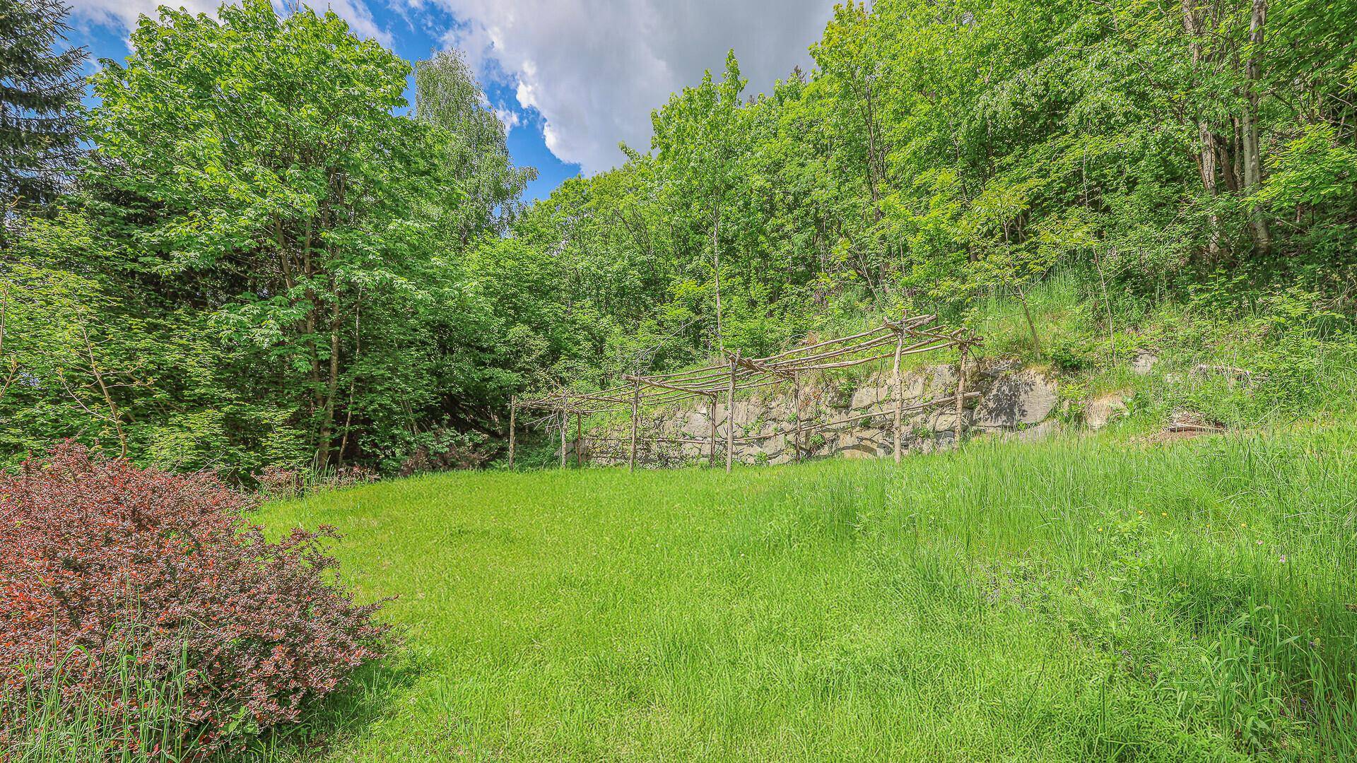 Grüne Gartenfläche mit einer hölzernen Rankhilfe, umgeben von üppiger Vegetation.