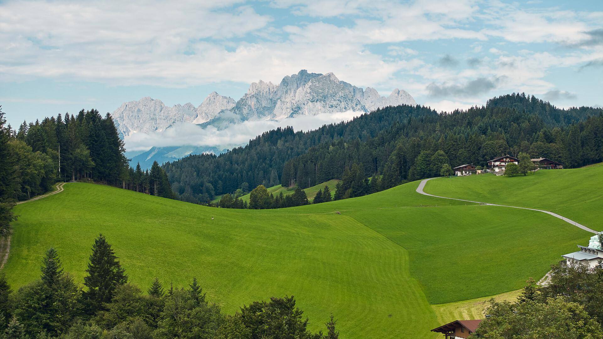 Malerische Berglandschaft mit grünen Wiesen, dichten Wäldern und majestätischen Gipfeln unter bewölktem Himmel.