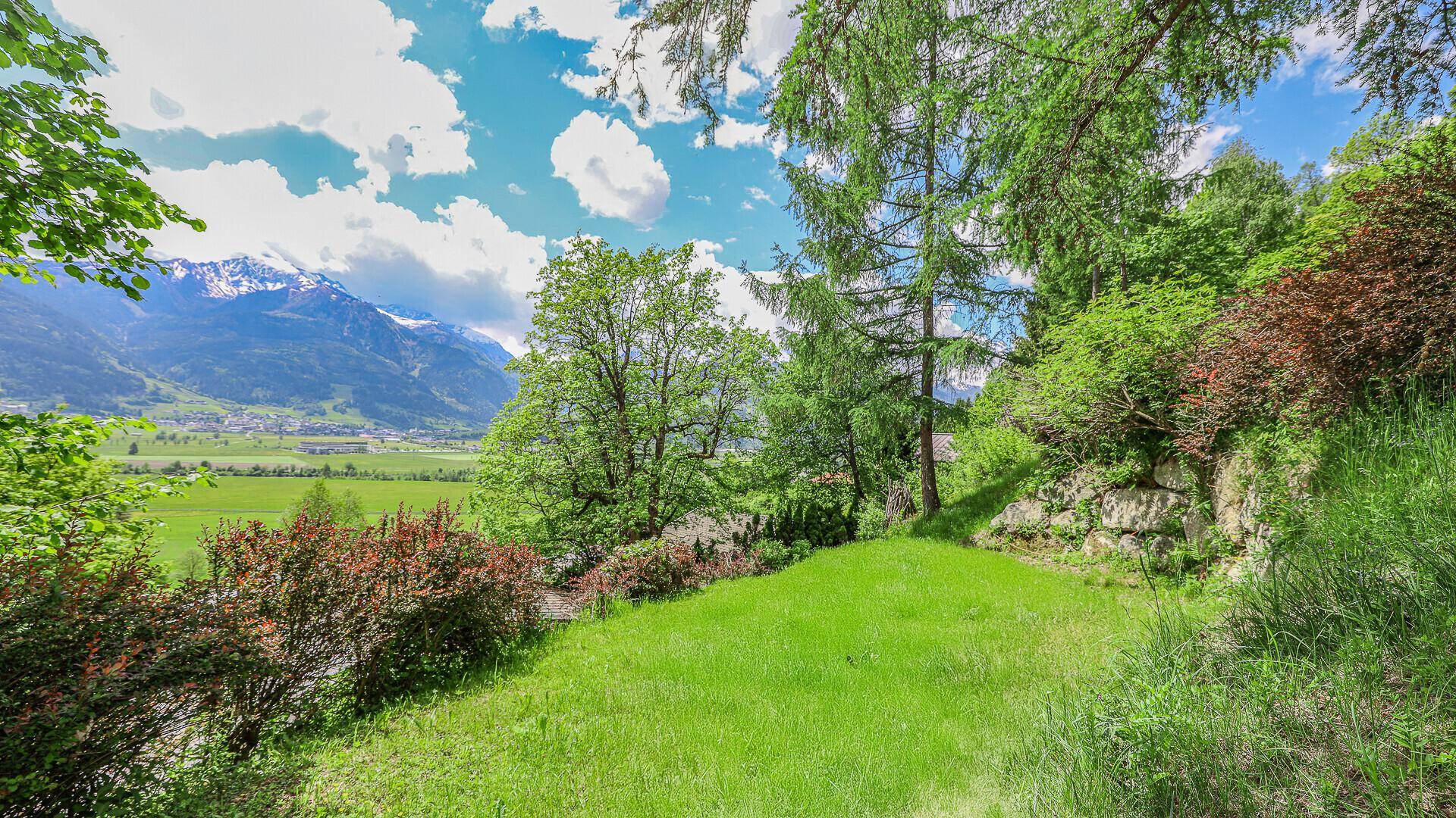 Grüne Hangwiese mit Sträuchern und weitem Blick auf die umliegende Berglandschaft.