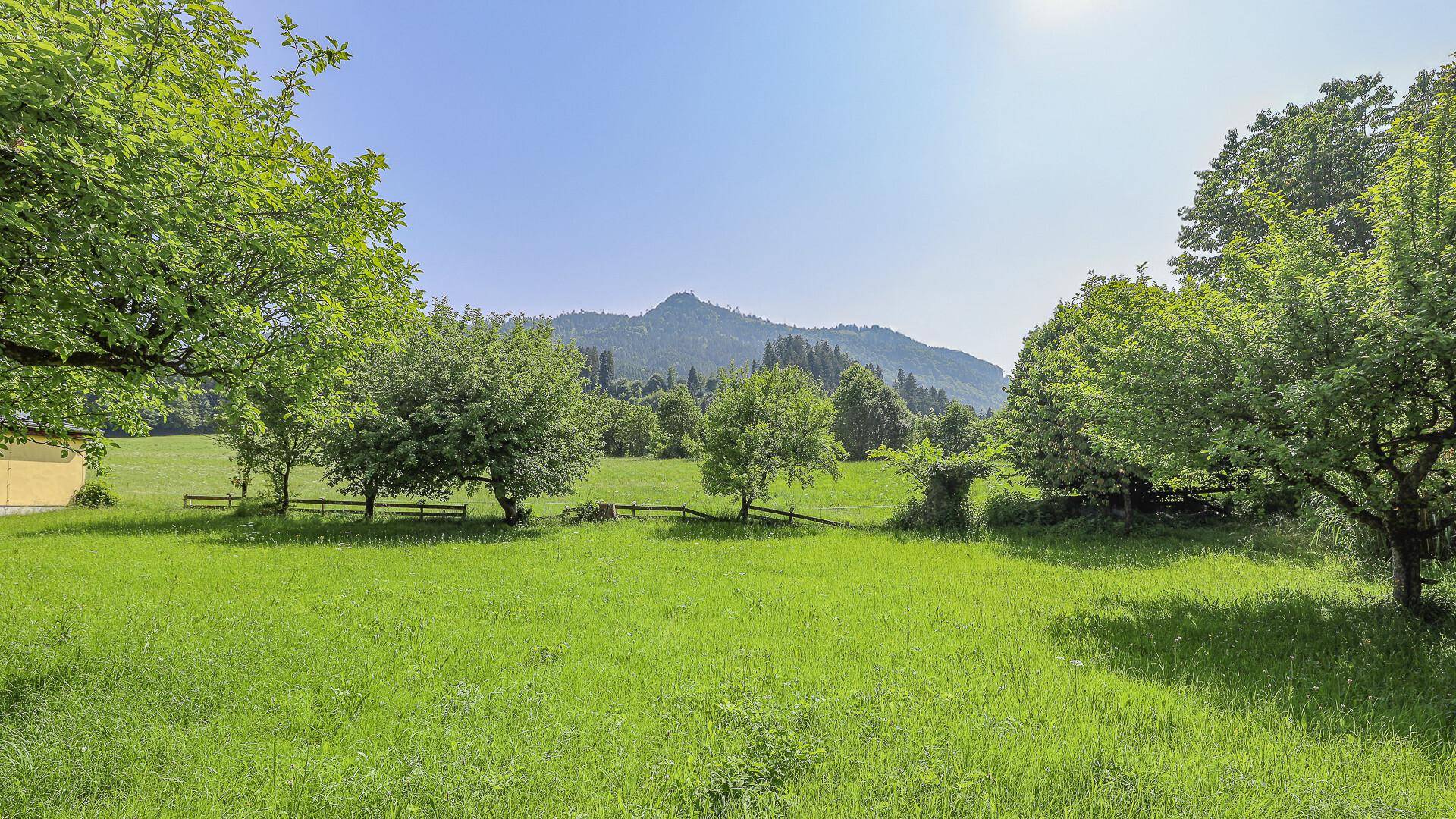 Idyllische Naturlandschaft mit saftigen Wiesen, alten Bäumen und einer beeindruckenden Bergkulisse.