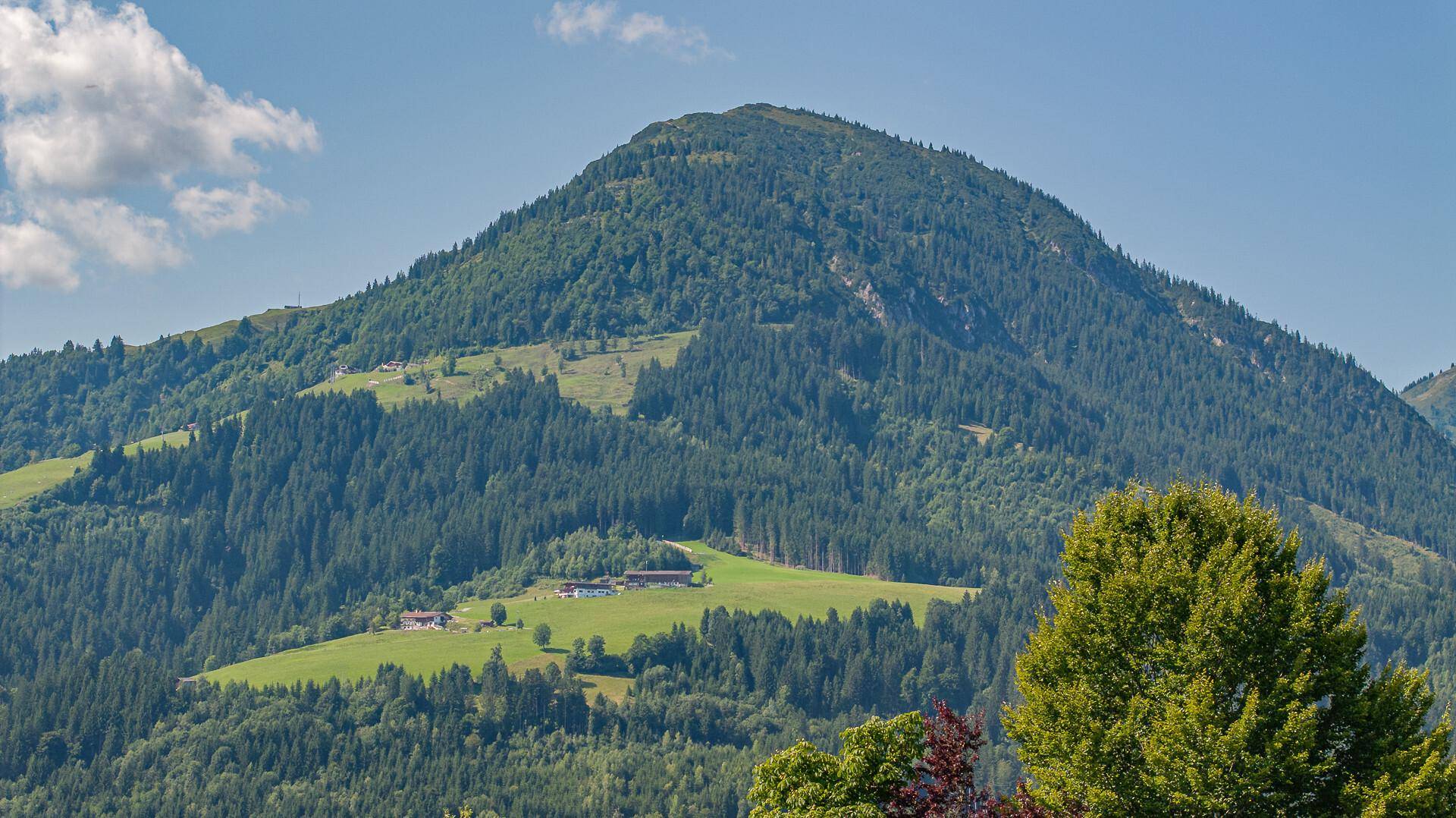 Baugrundstück in traumhafter Aussichtslage am Sonnberg - Więcej