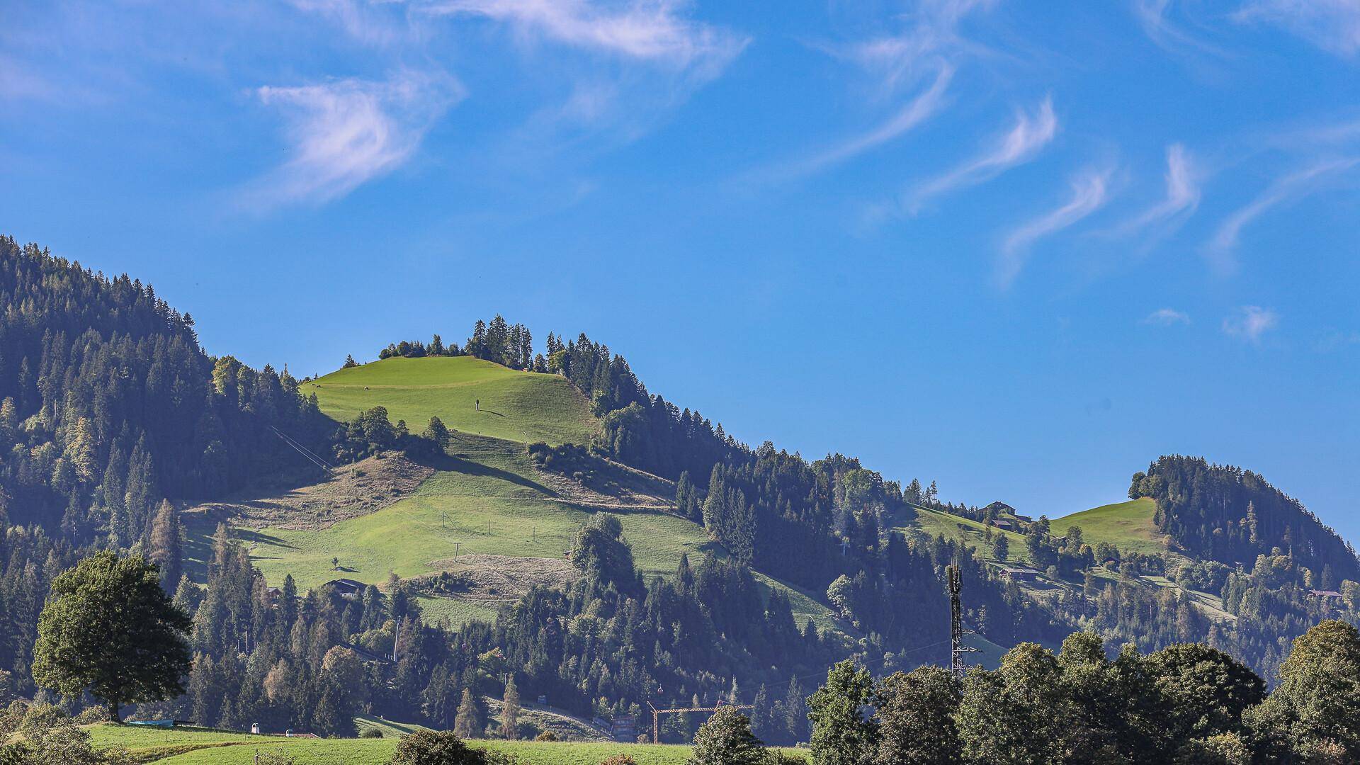 Weitläufige grüne Hügellandschaft mit Bäumen unter einem strahlend blauen Himmel.