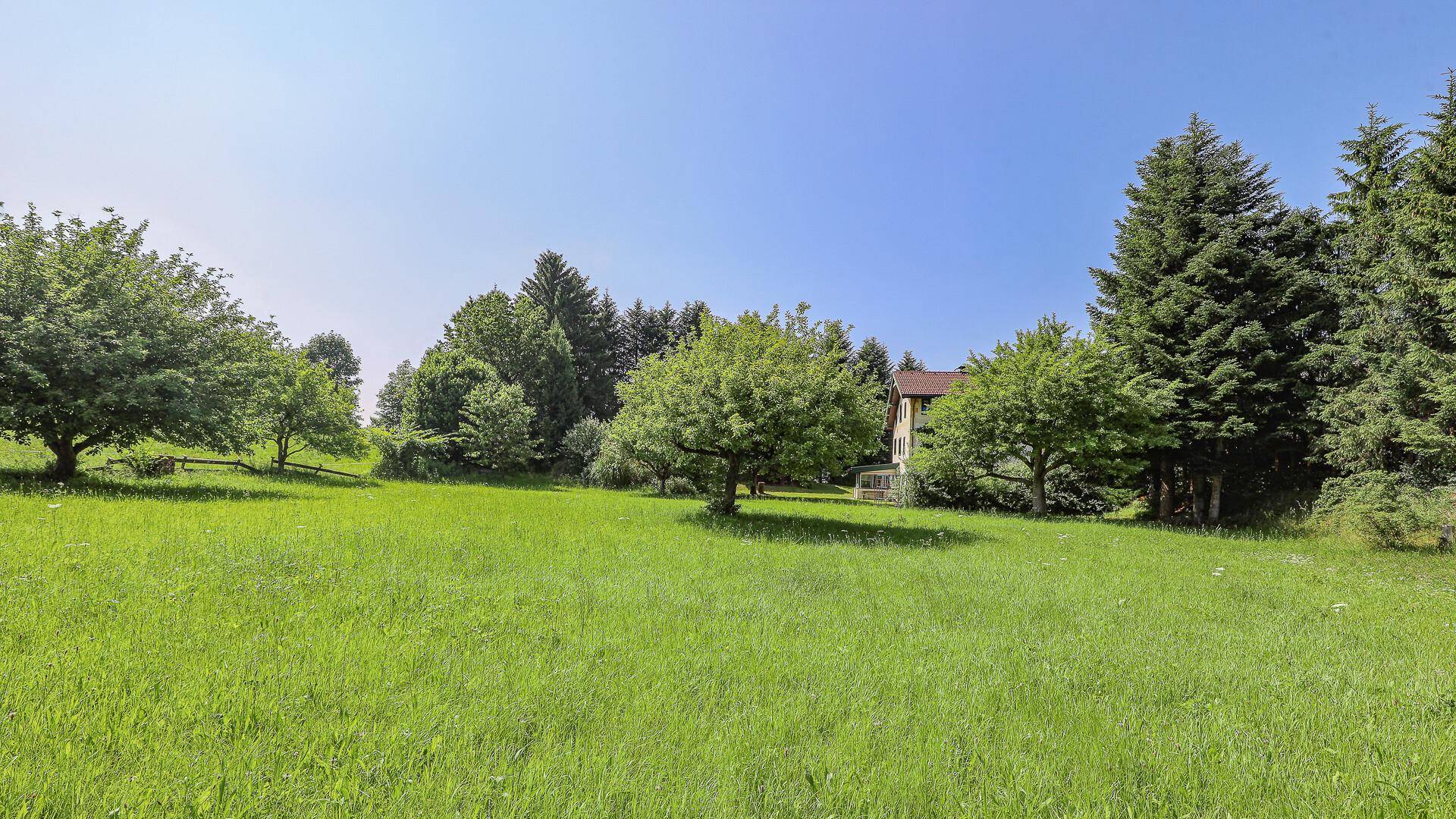 Weitläufige grüne Wiesen mit vereinzelten Bäumen und dem Landhaus im Hintergrund unter blauem Himmel.