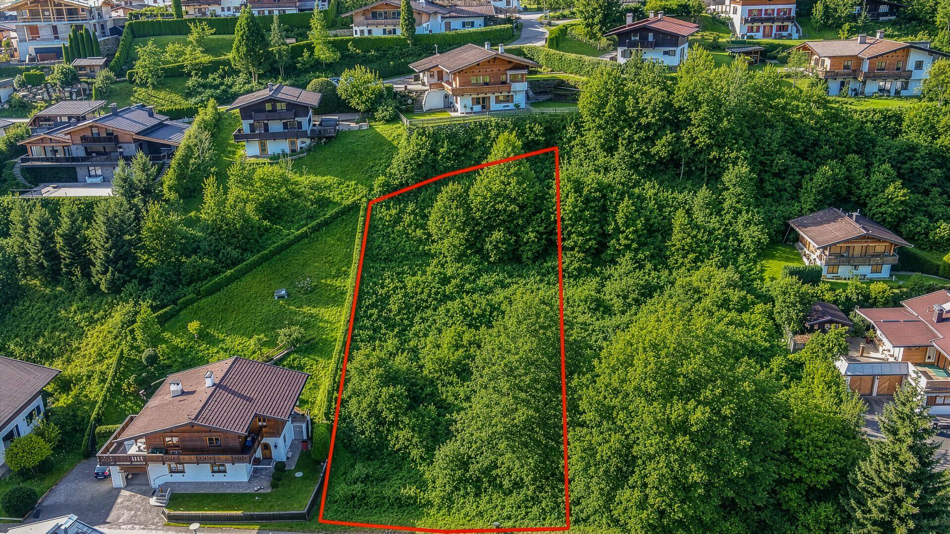 Luftaufnahme eines rot umrandeten, bewachsenen Grundstücks am Hang mit umliegenden Häusern.