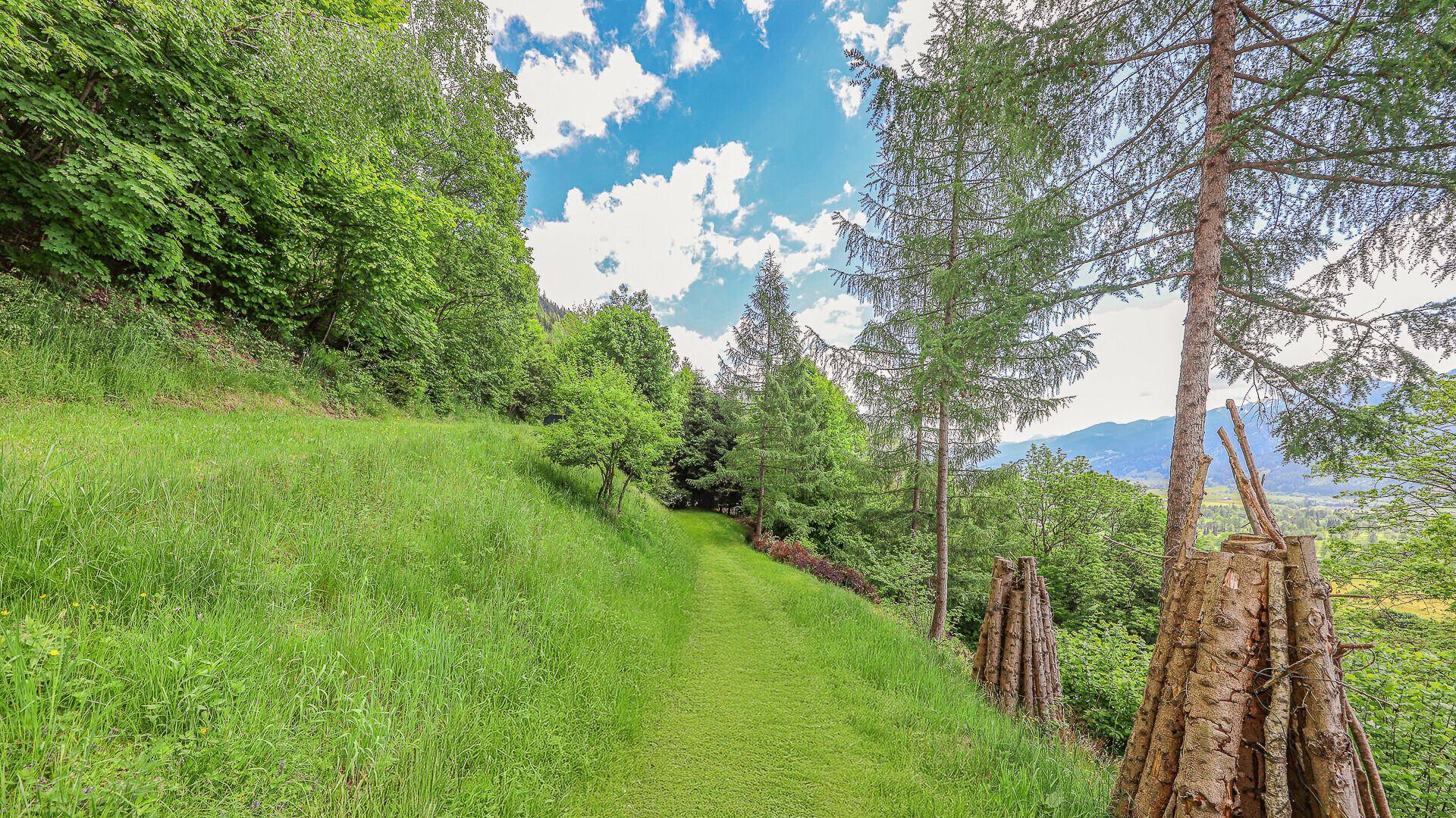 Natürlicher Gartenweg am Hang, umgeben von Bäumen, mit Holzstapeln und Fernblick.