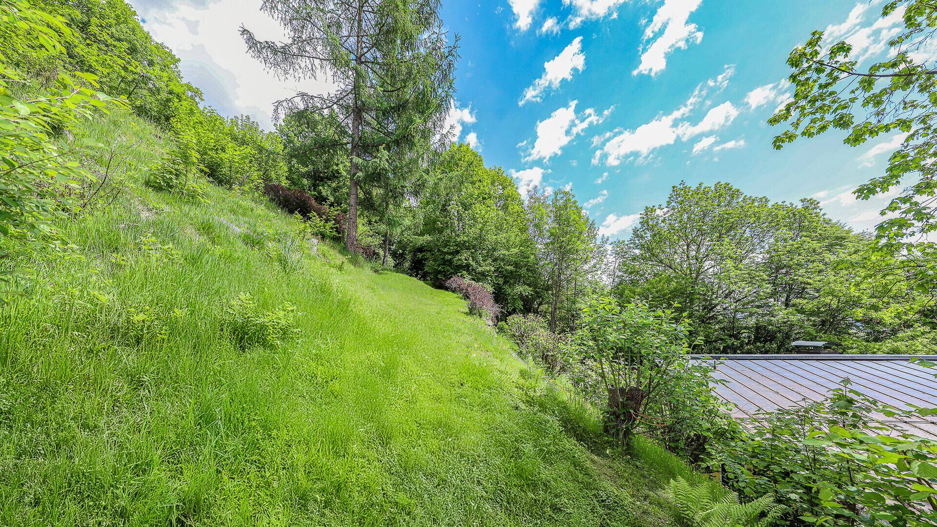 Naturbelassene, grüne Hanglage mit dichtem Baumbestand unter blauem Himmel.