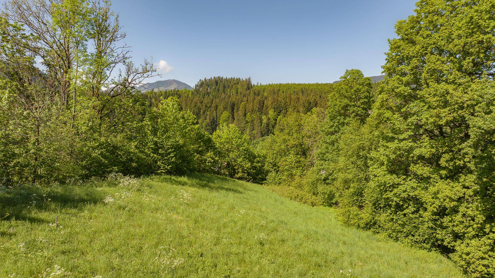 KITZIMMO-Grundstück in Toplage kaufen - Immobilien Kitzbühel.