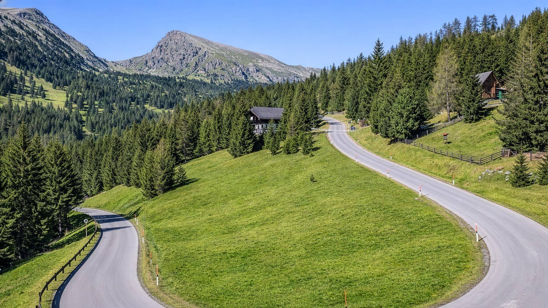 Eine kurvige Bergstraße schlängelt sich durch eine sonnige, grüne Landschaft mit dichten Nadelwäldern.