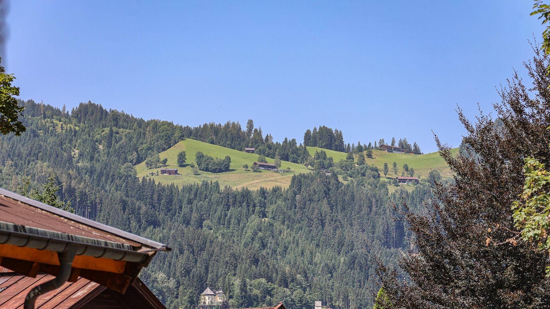 Weitläufiger Blick auf bewaldete Hügel mit verstreuten Häusern unter blauem Himmel.