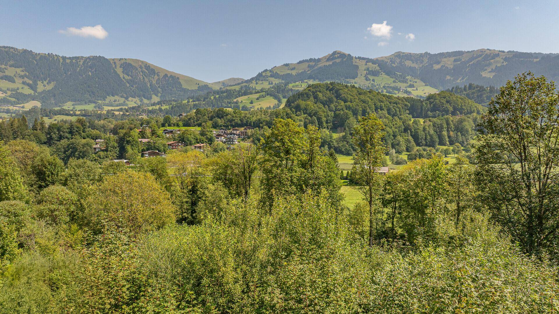 Idyllische Landschaft mit weiten grünen Feldern, Wäldern und einer Bergkette am Horizont.