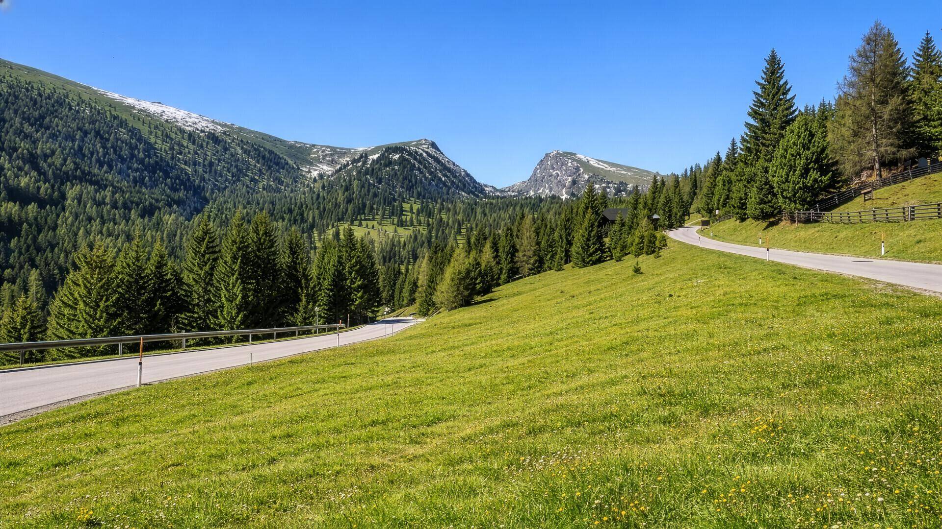 Eine Straße führt durch eine grüne Berglandschaft mit schneebedeckten Gipfeln im Hintergrund unter blauem Himmel.