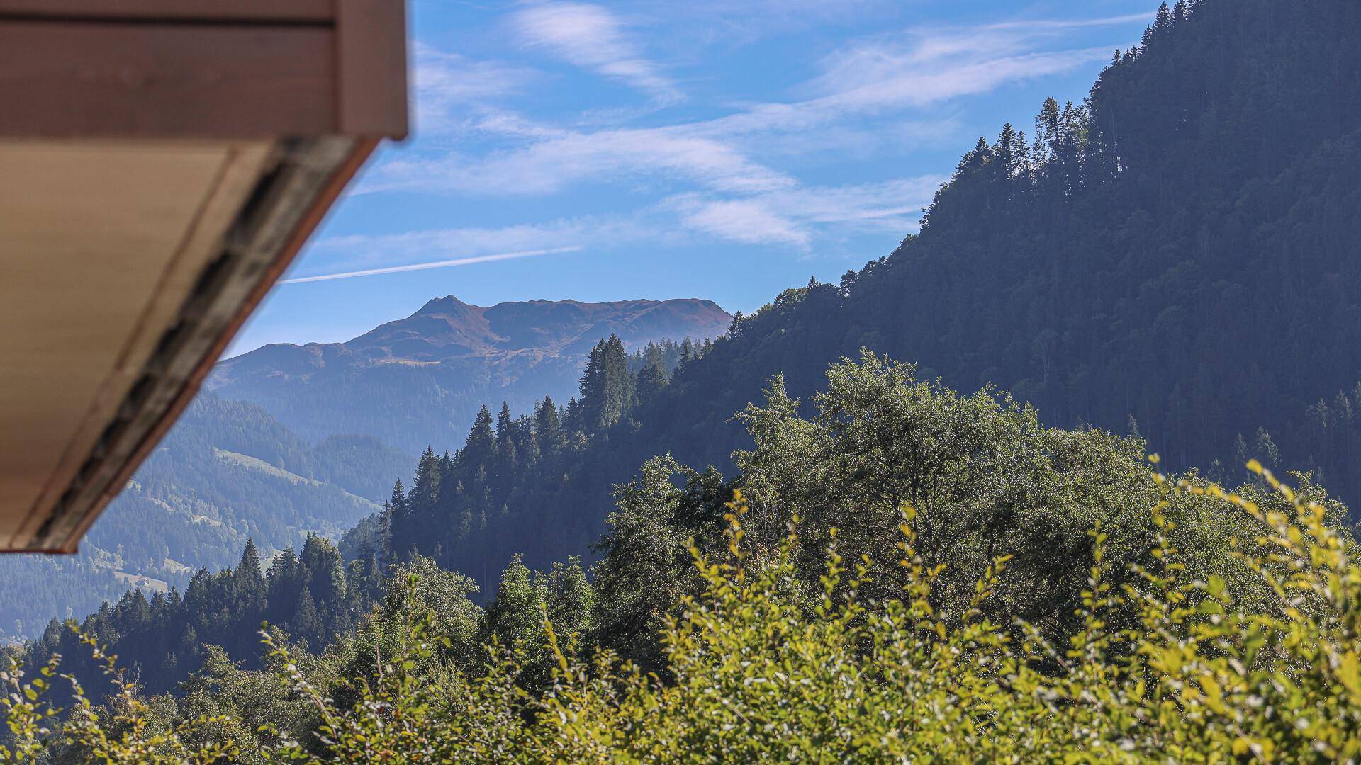 Malerischer Blick auf bewaldete Berge und Täler unter einem klaren blauen Himmel.
